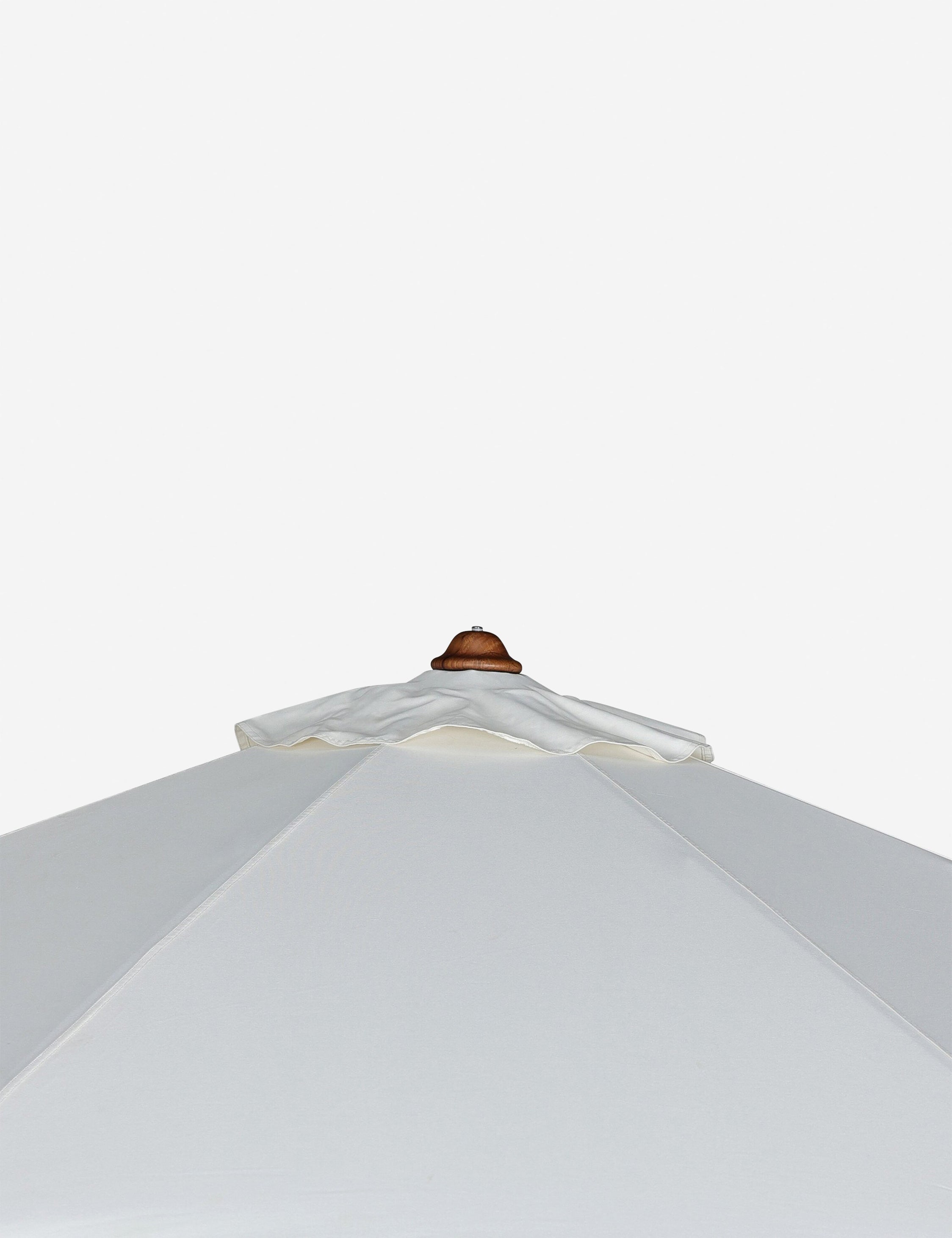 Luzita 9'10" Round Outdoor Umbrella