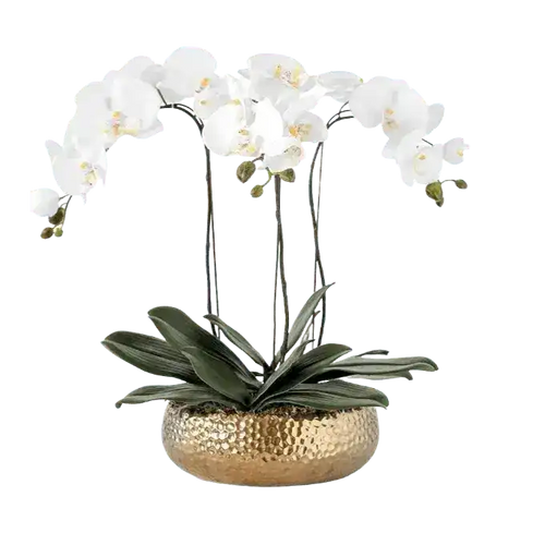 3 Stems White Phalaenopsis Arrangement in Golden Ceramic Pot