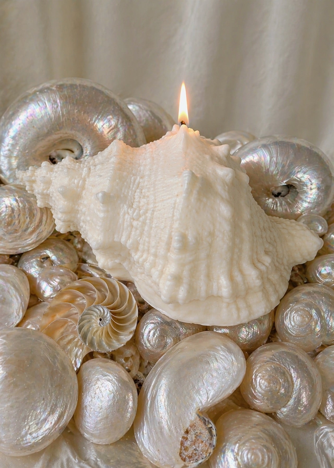 Opaline Conch Seashell Candle - XL