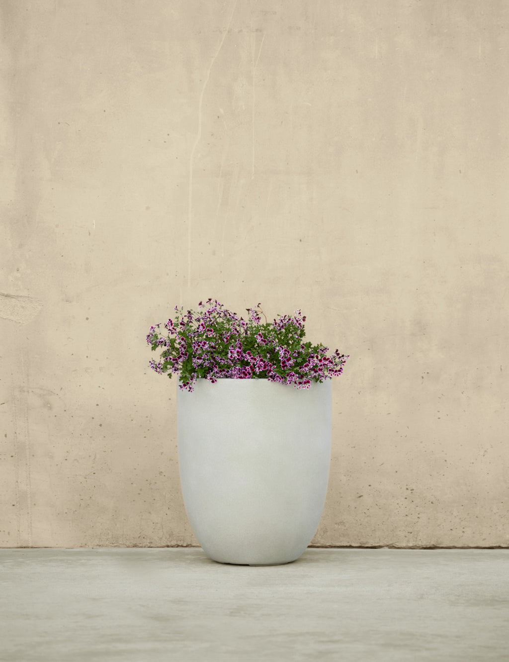 Bradford Planters by Campania International