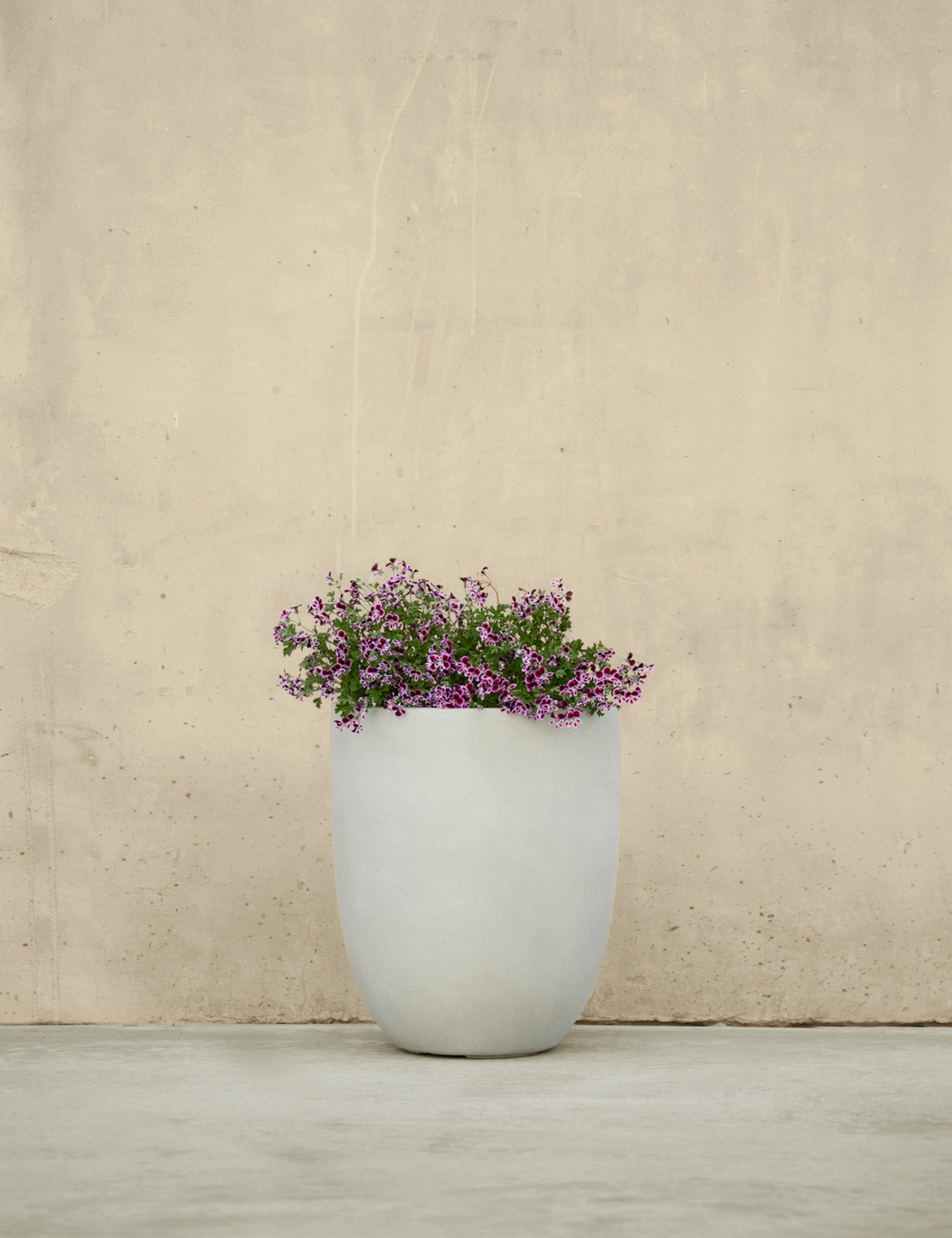 Bradford Planters by Campania International