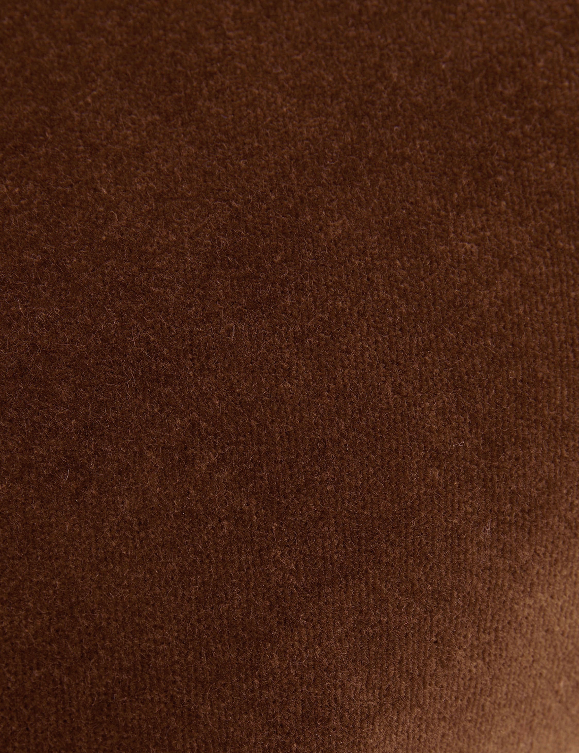 Charlotte Velvet Pillow