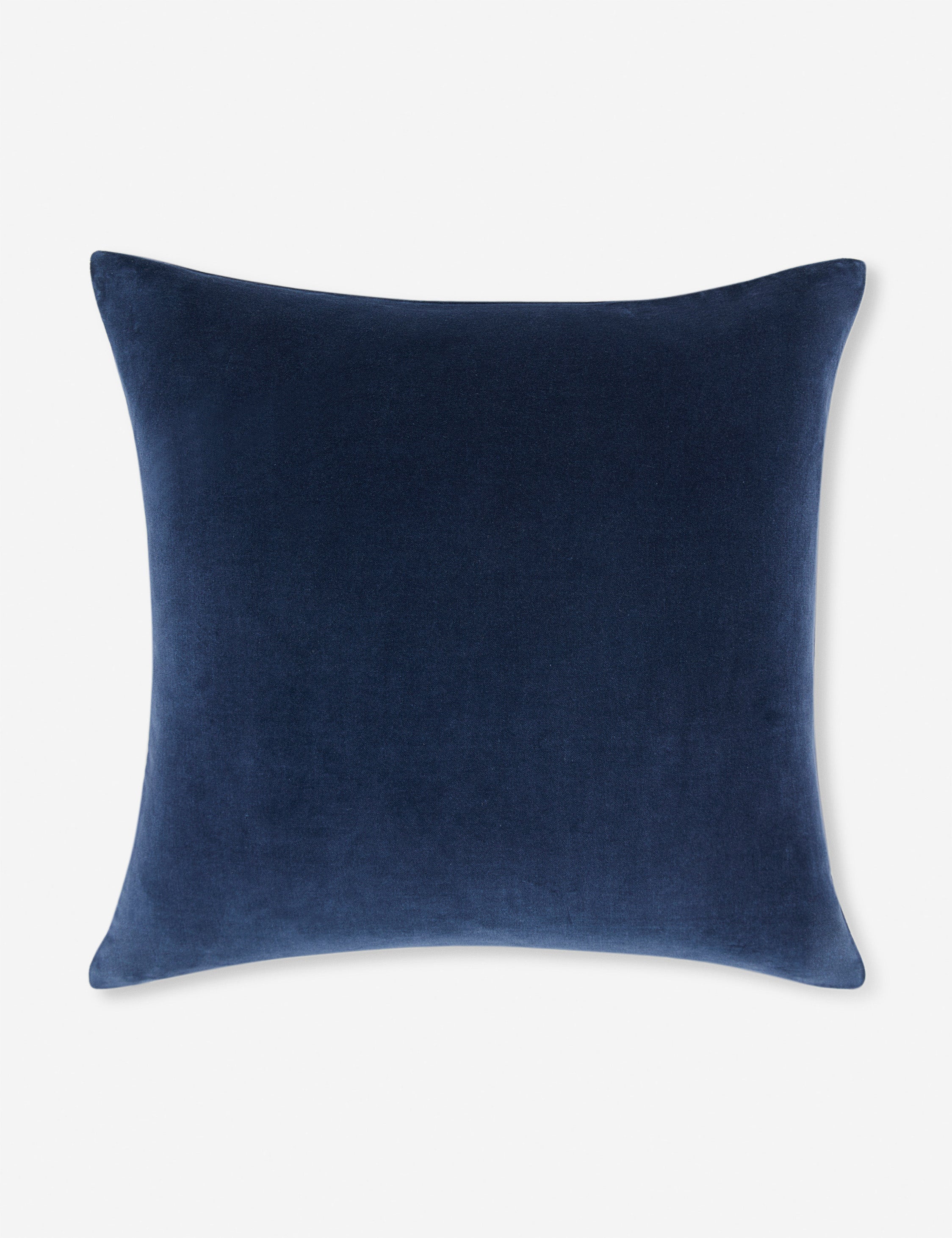 Charlotte Velvet Pillow