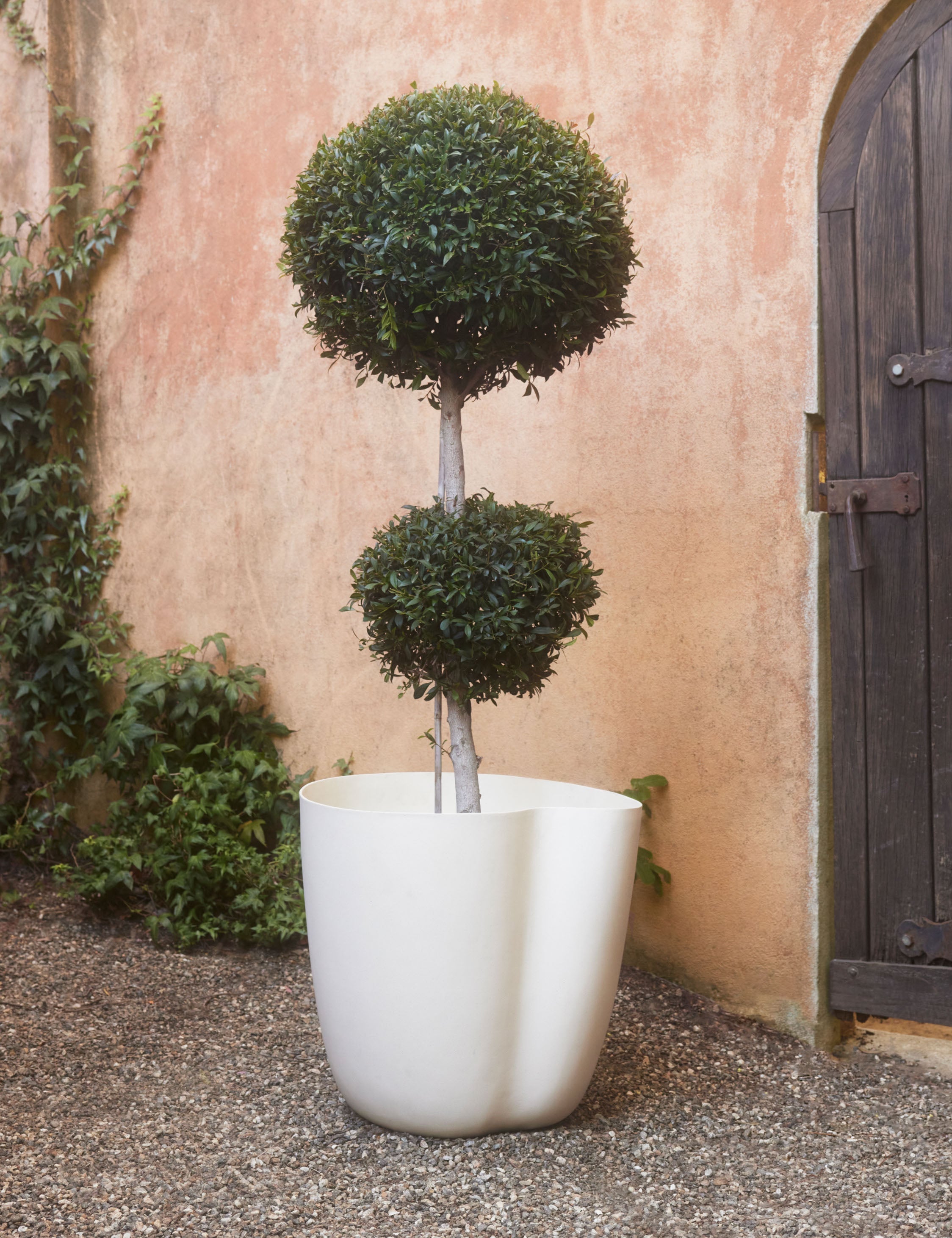 Dempsy Planter by Sarah Sherman Samuel