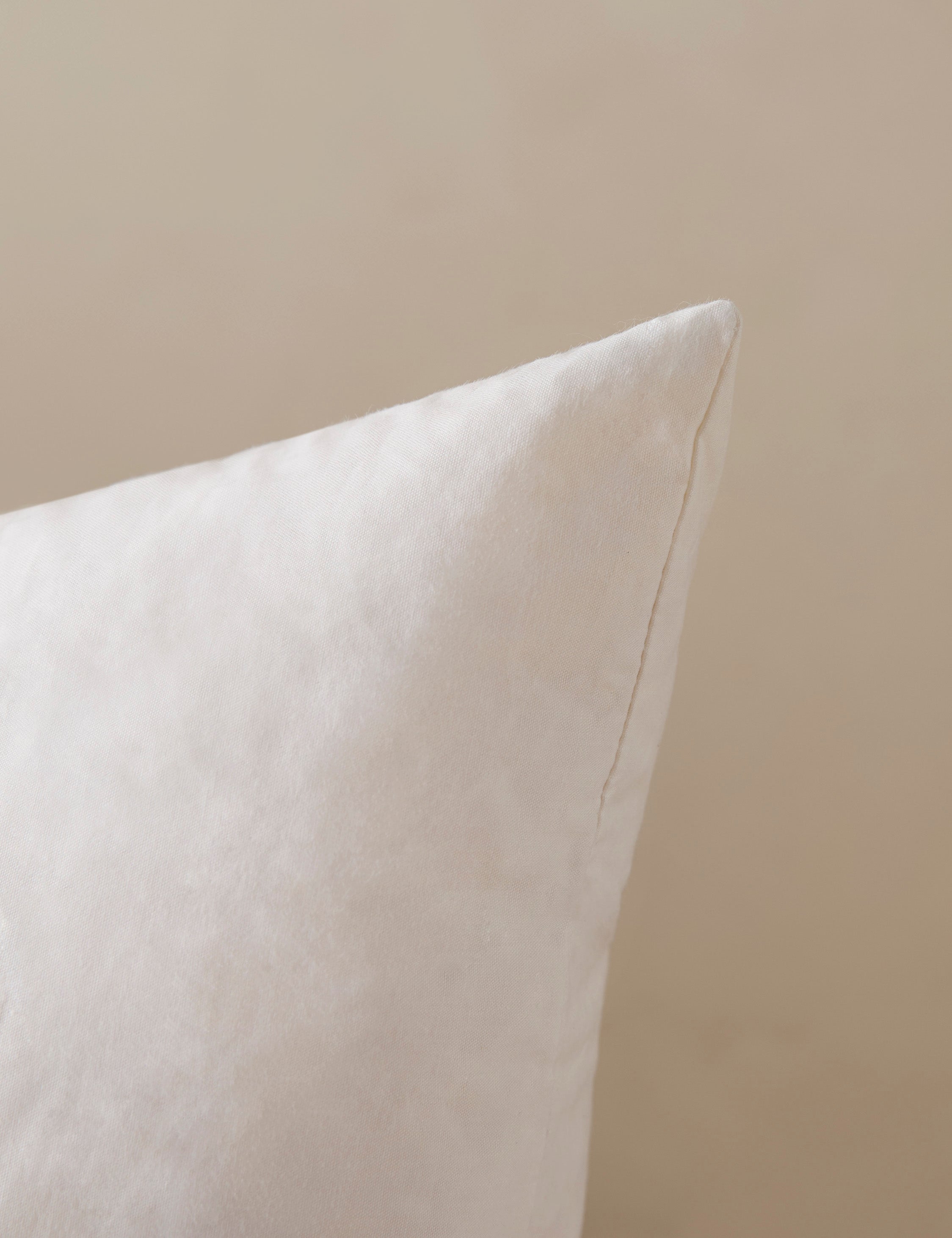 Feather Down Decorative Pillow Insert