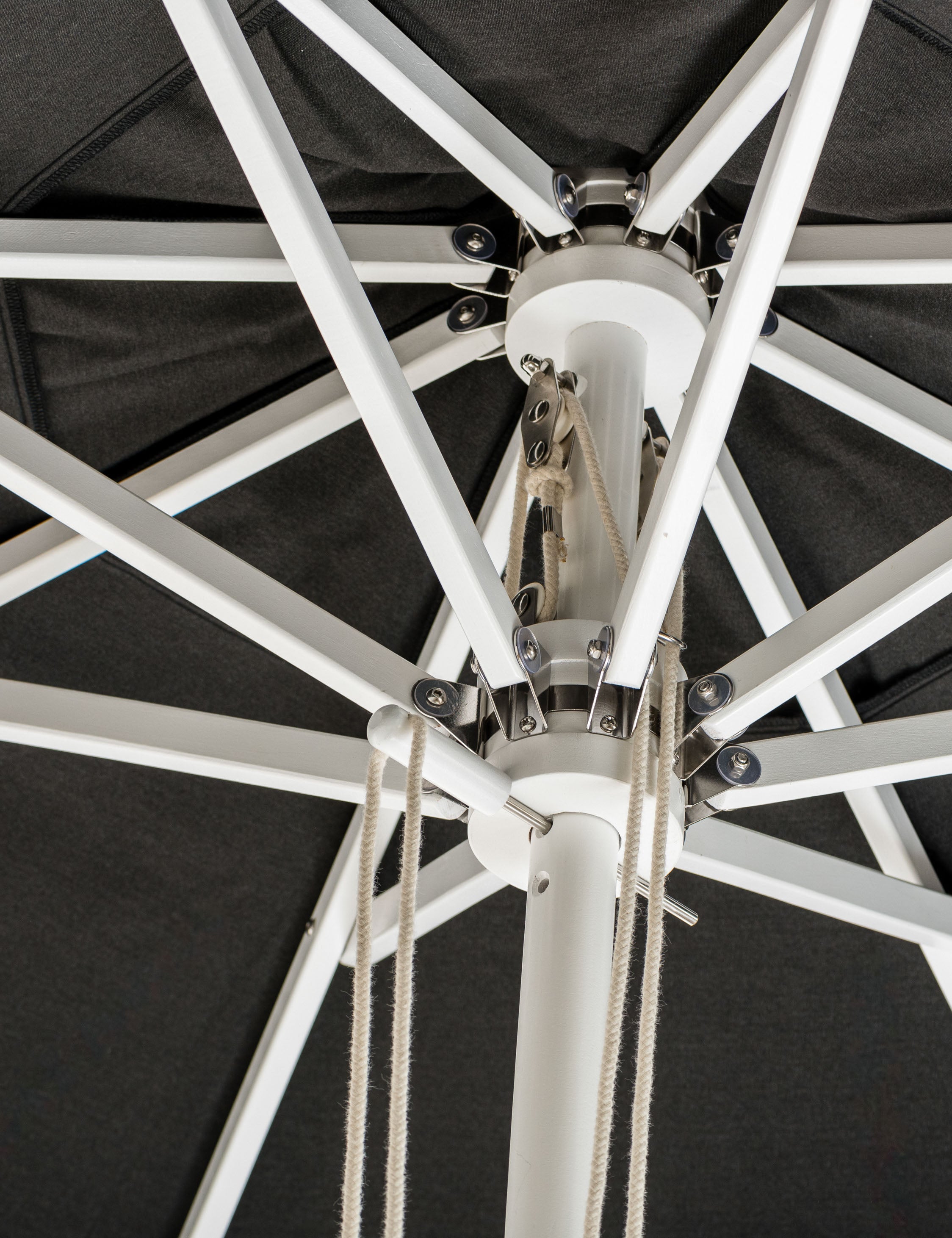 Market Umbrella by Business & Pleasure Co.