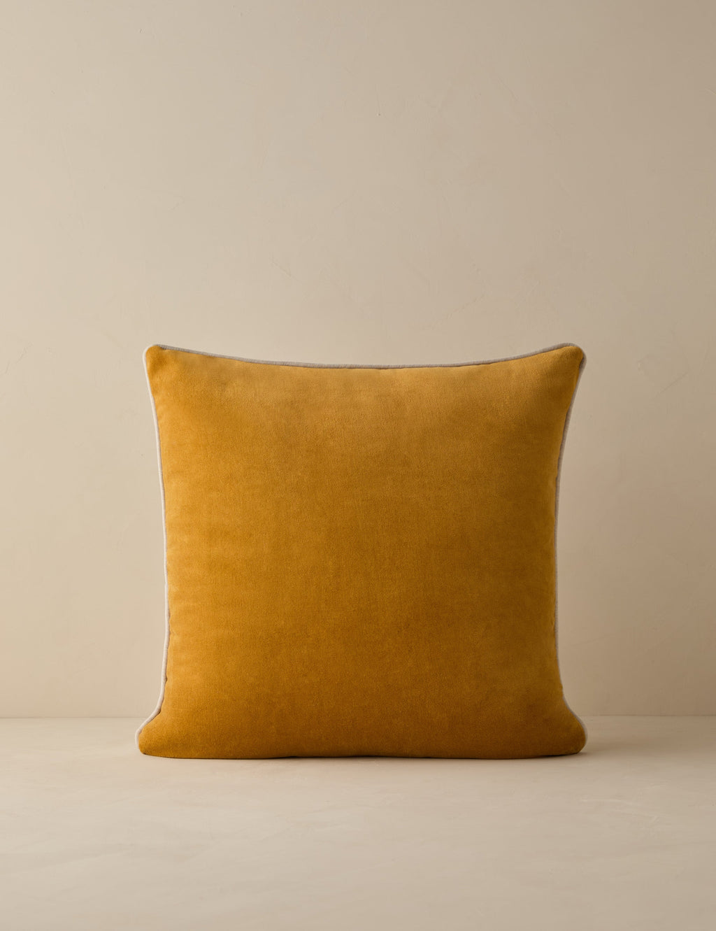 Borroto Velvet Stripe Pillow