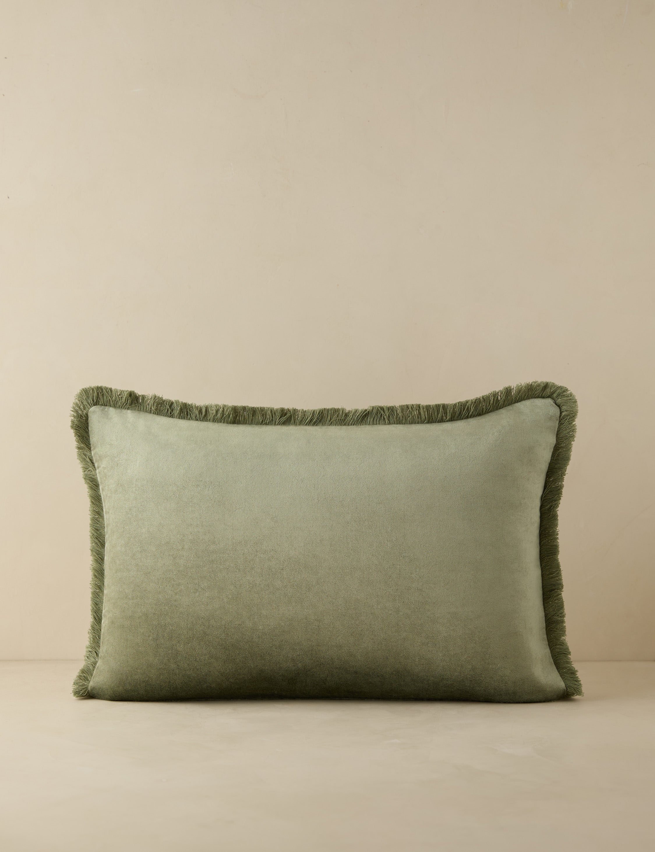Brandis Velvet Pillow