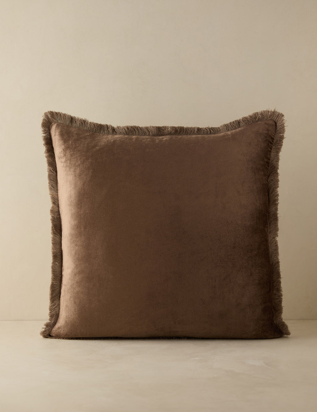 Brandis Velvet Pillow