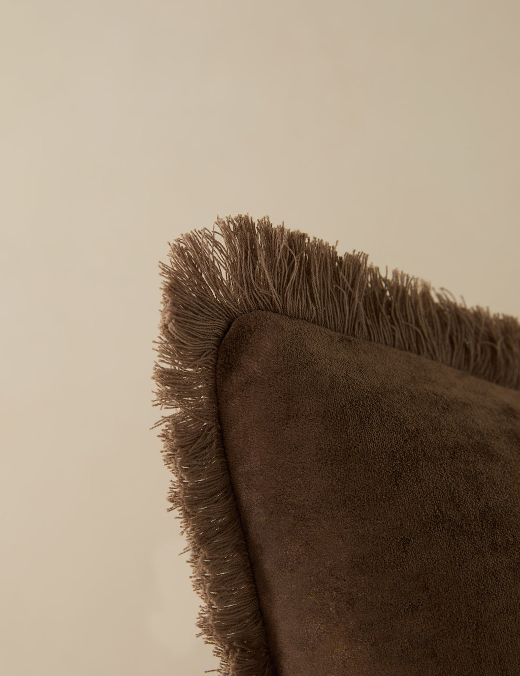 Brandis Velvet Pillow