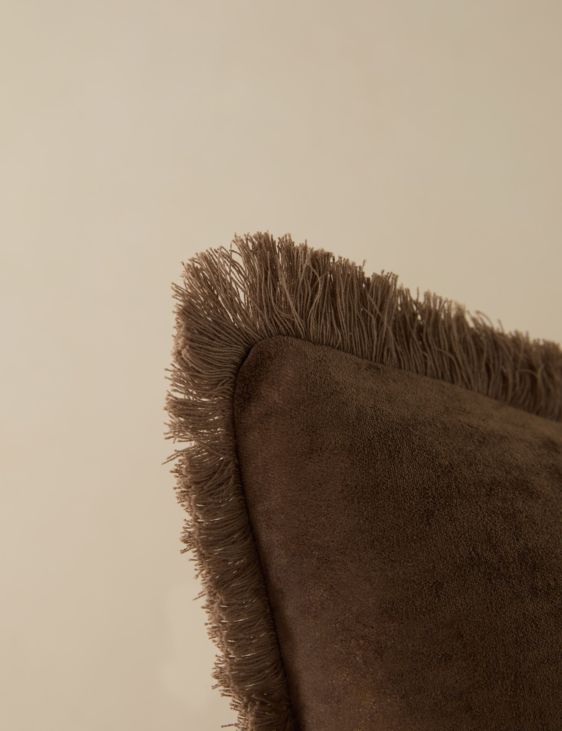 Brandis Velvet Pillow