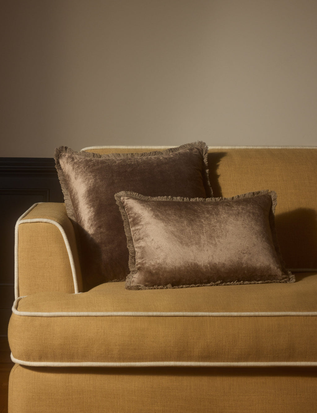 Brandis Velvet Pillow