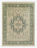 Isandro Hand-Knotted Wool Rug