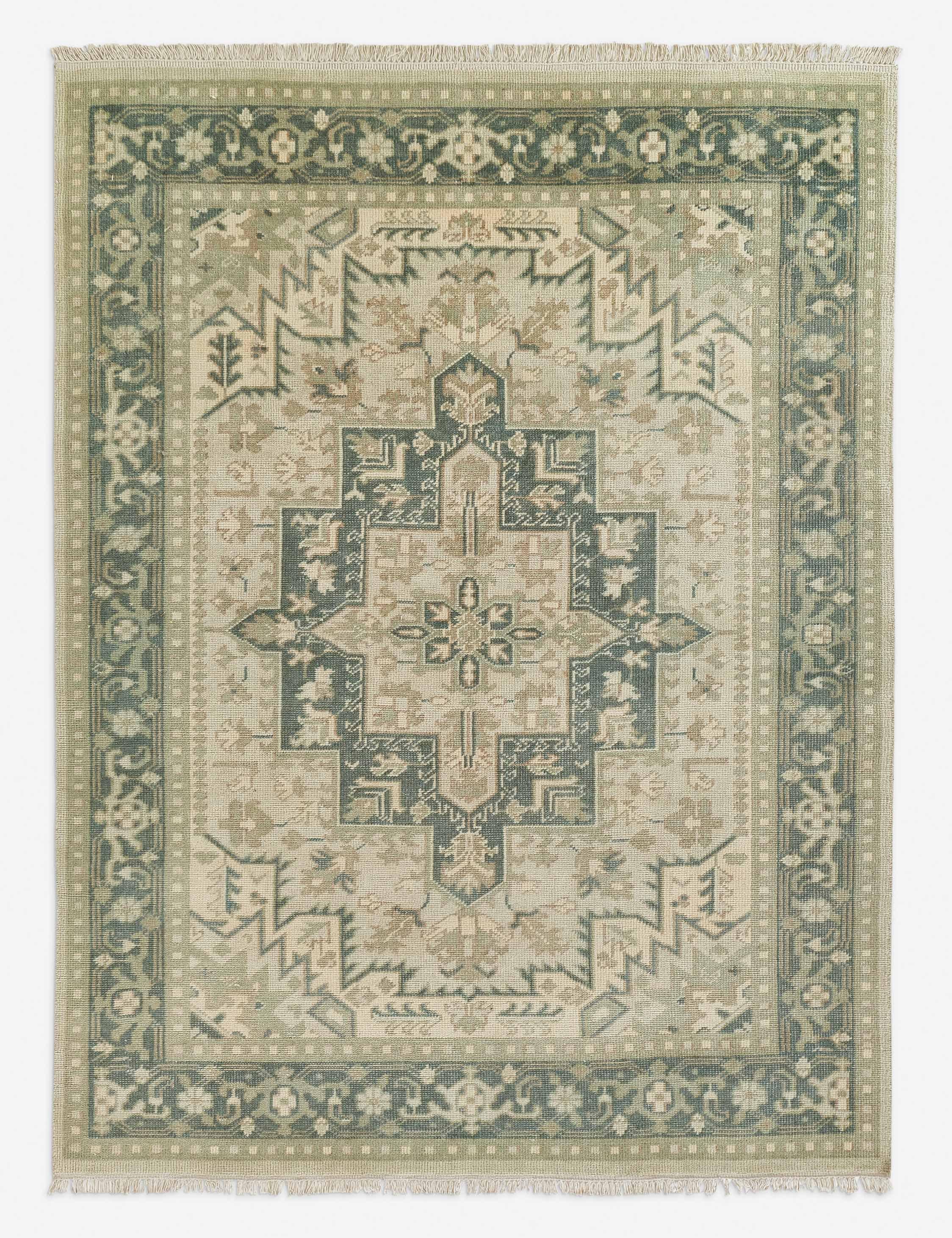 Isandro Hand-Knotted Wool Rug