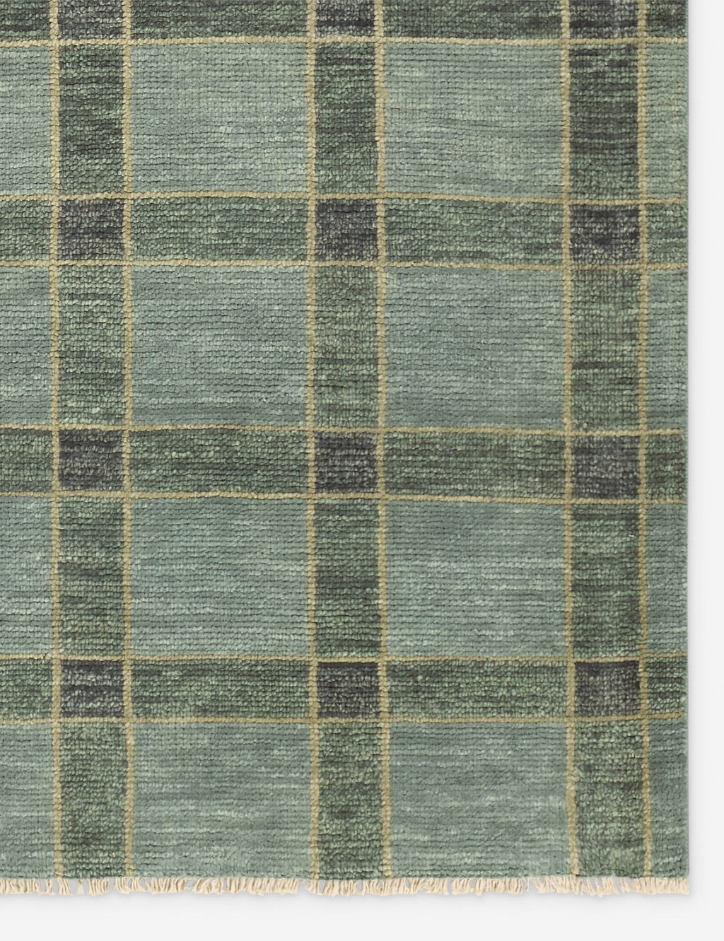 Pavez Hand-Knotted Wool Rug