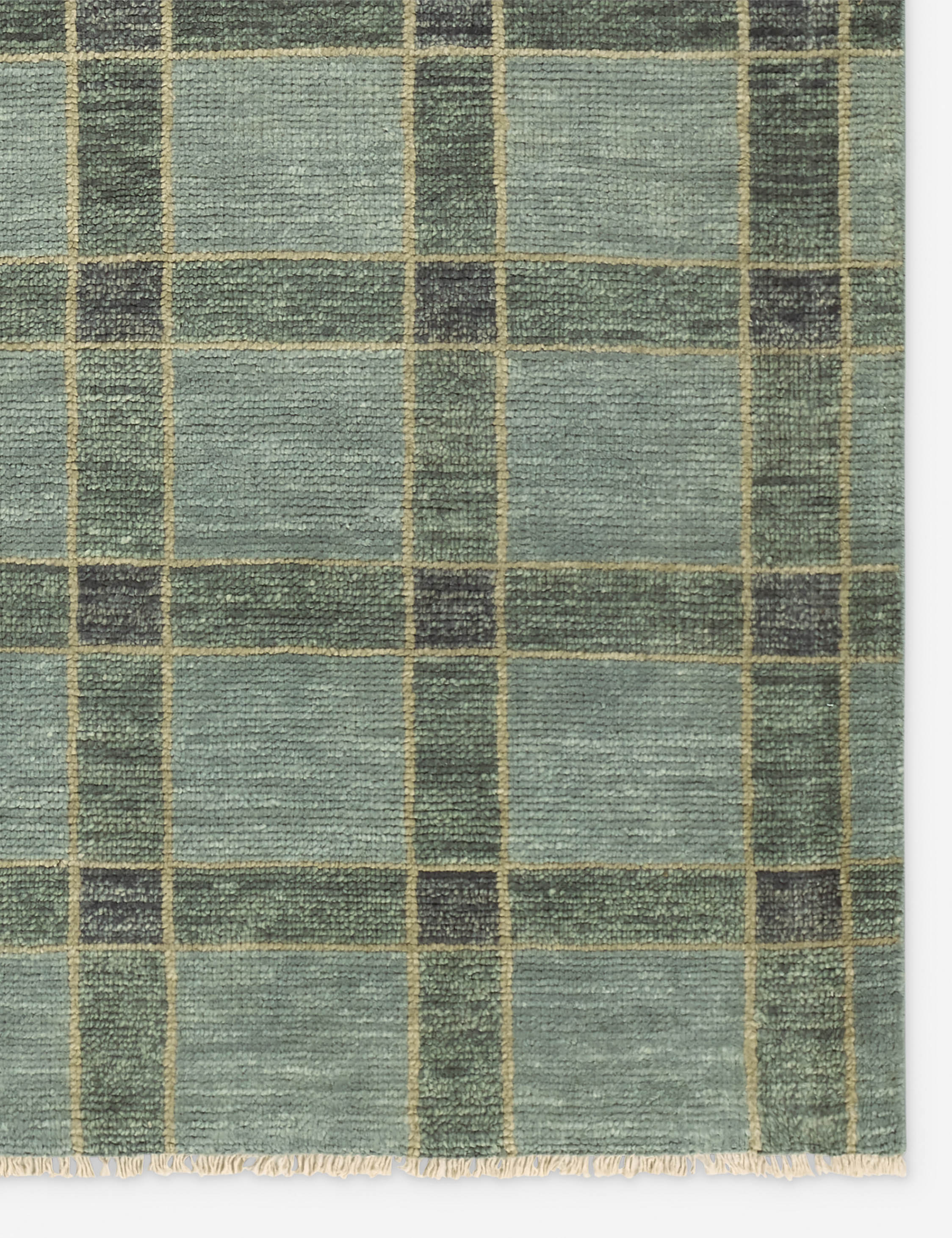 Pavez Hand-Knotted Wool Rug
