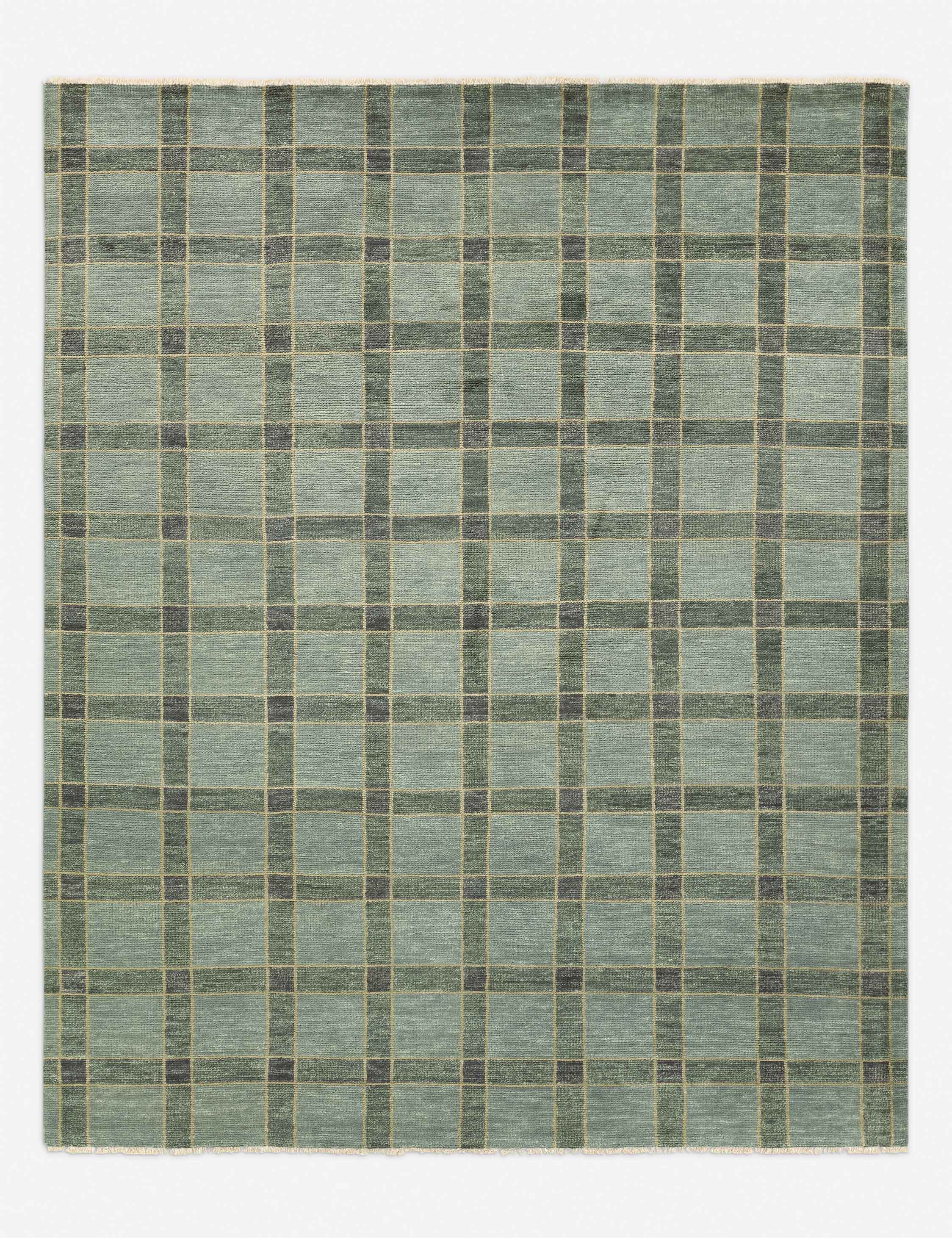 Pavez Hand-Knotted Wool Rug