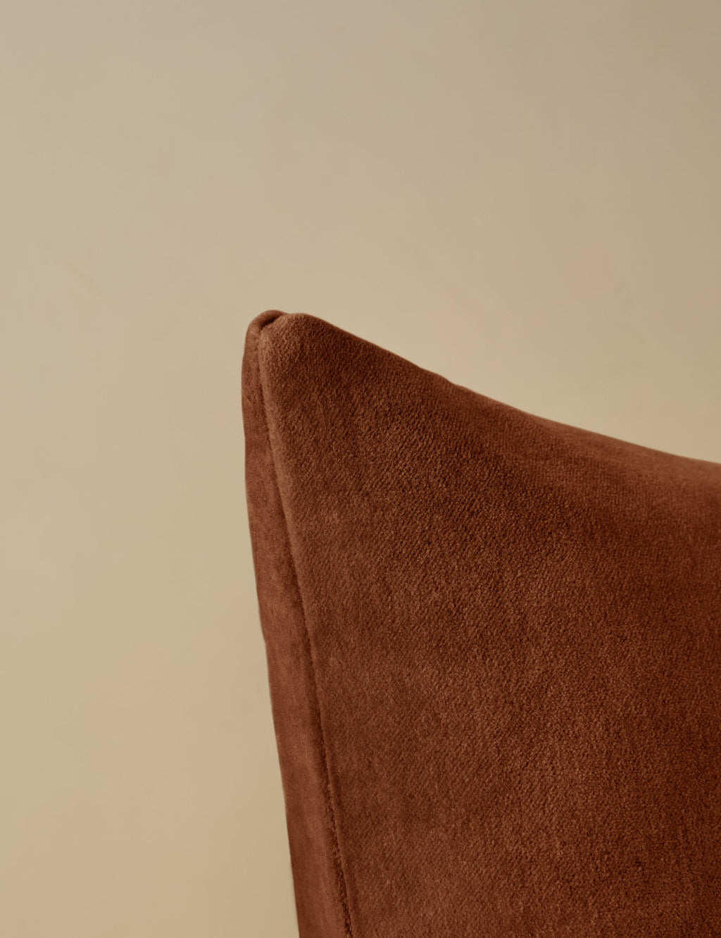 Charlotte Velvet Pillow