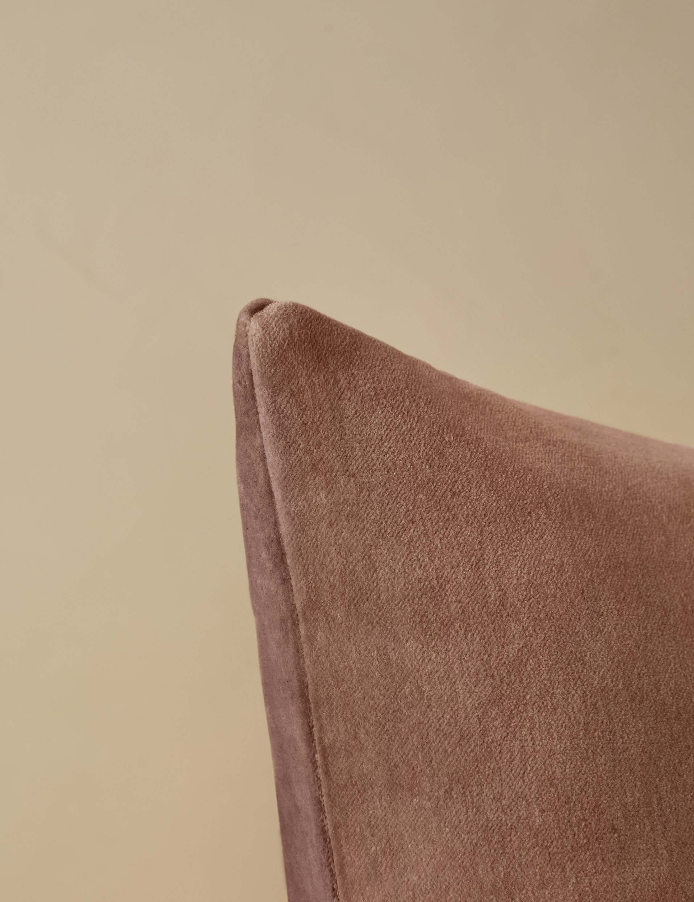 Charlotte Velvet Pillow