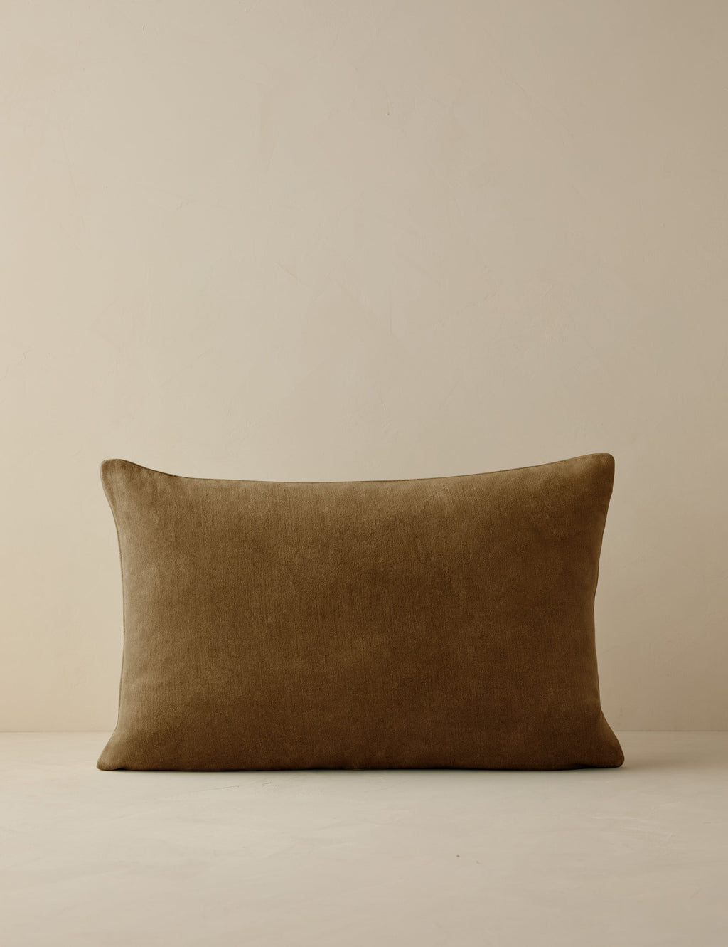 Charlotte Velvet Pillow