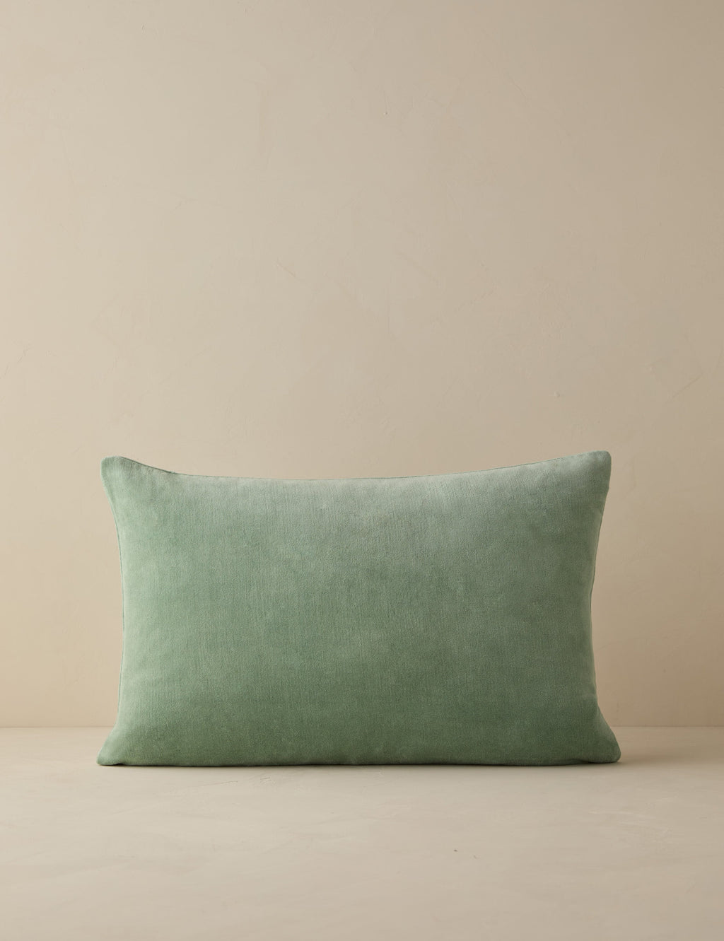 Charlotte Velvet Pillow