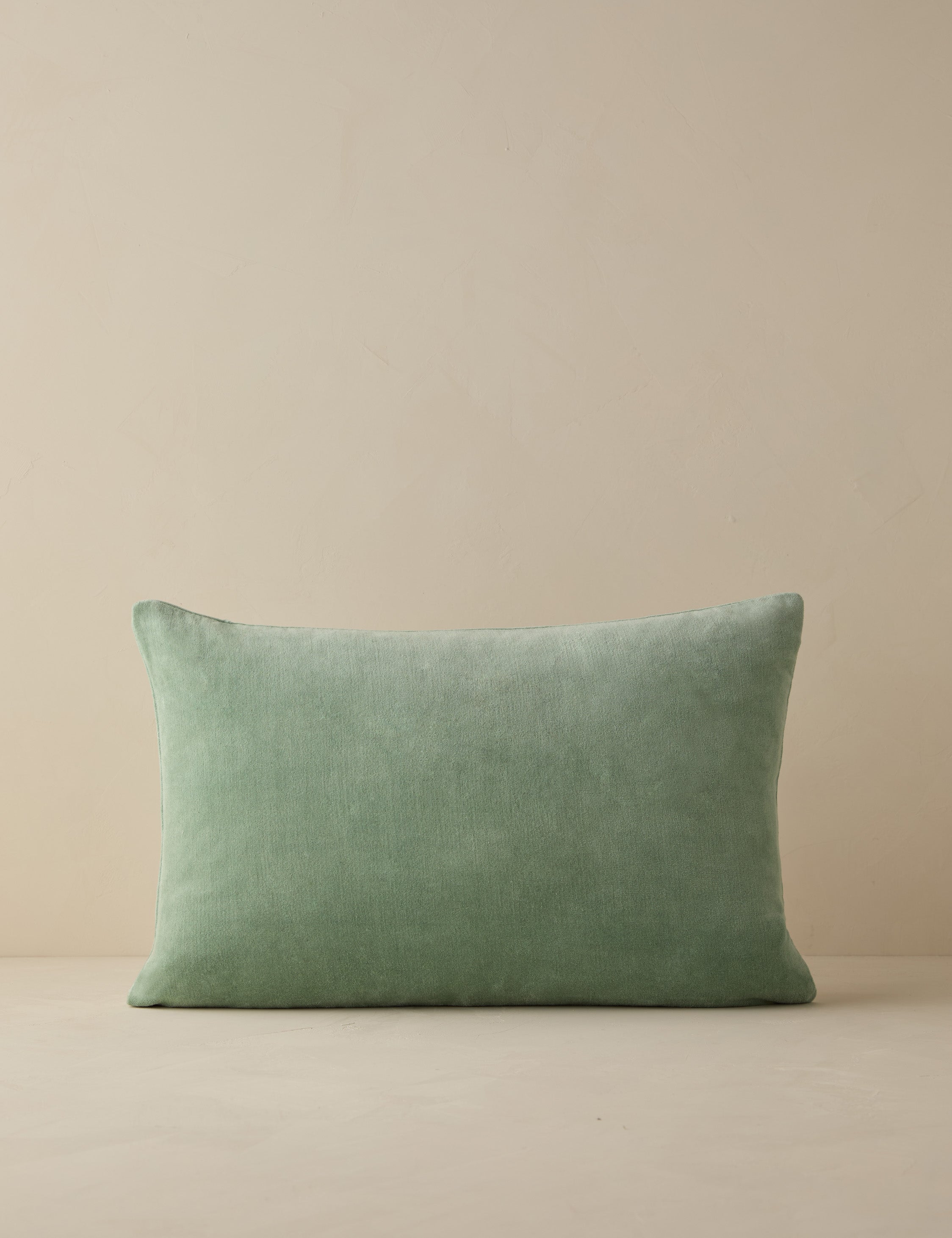 Charlotte Velvet Pillow