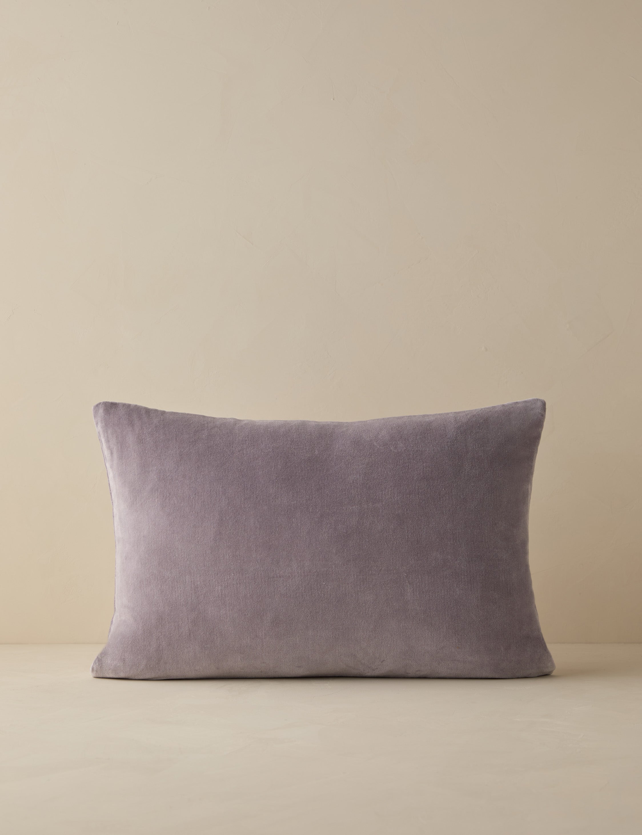 Charlotte Velvet Pillow