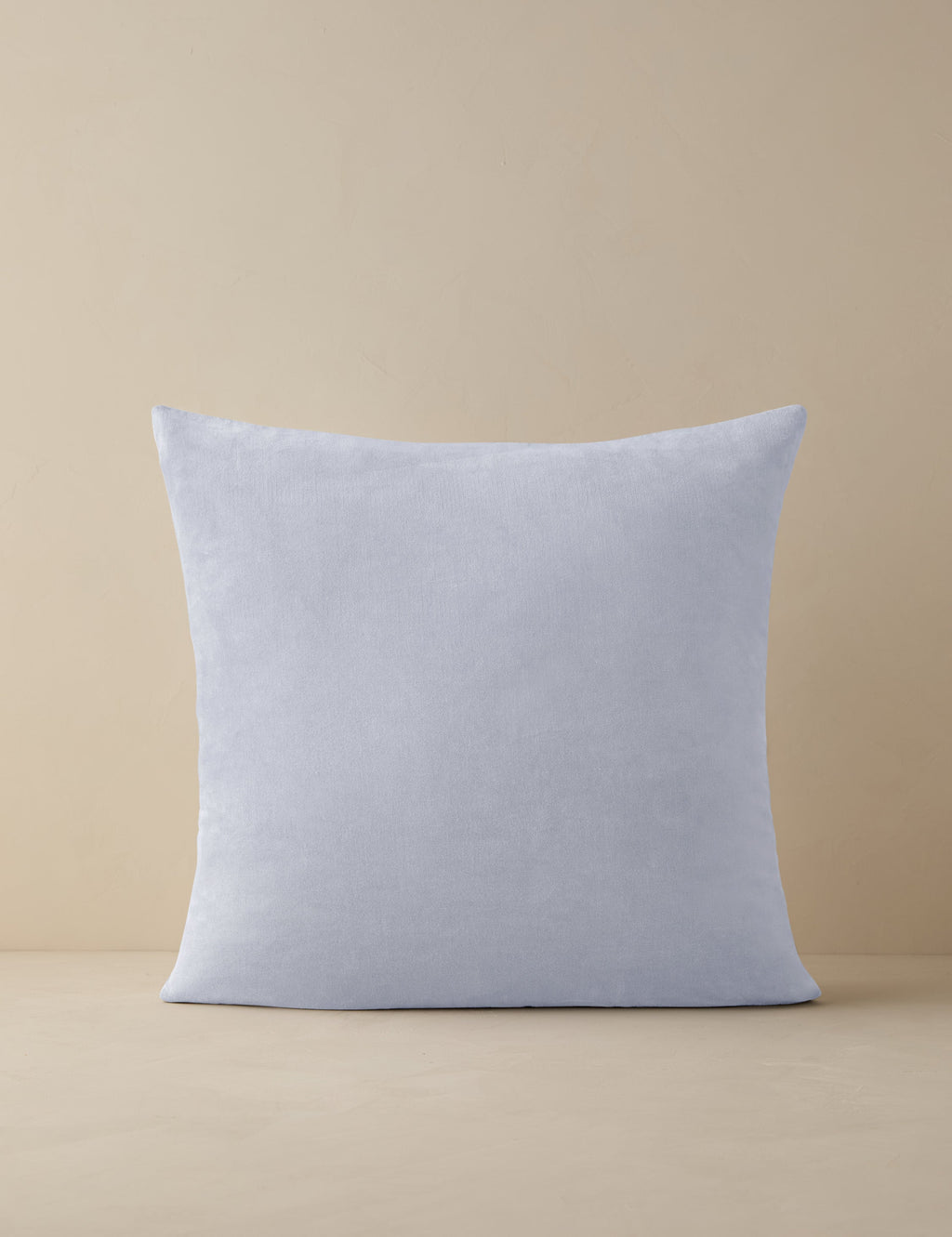 Charlotte Velvet Pillow