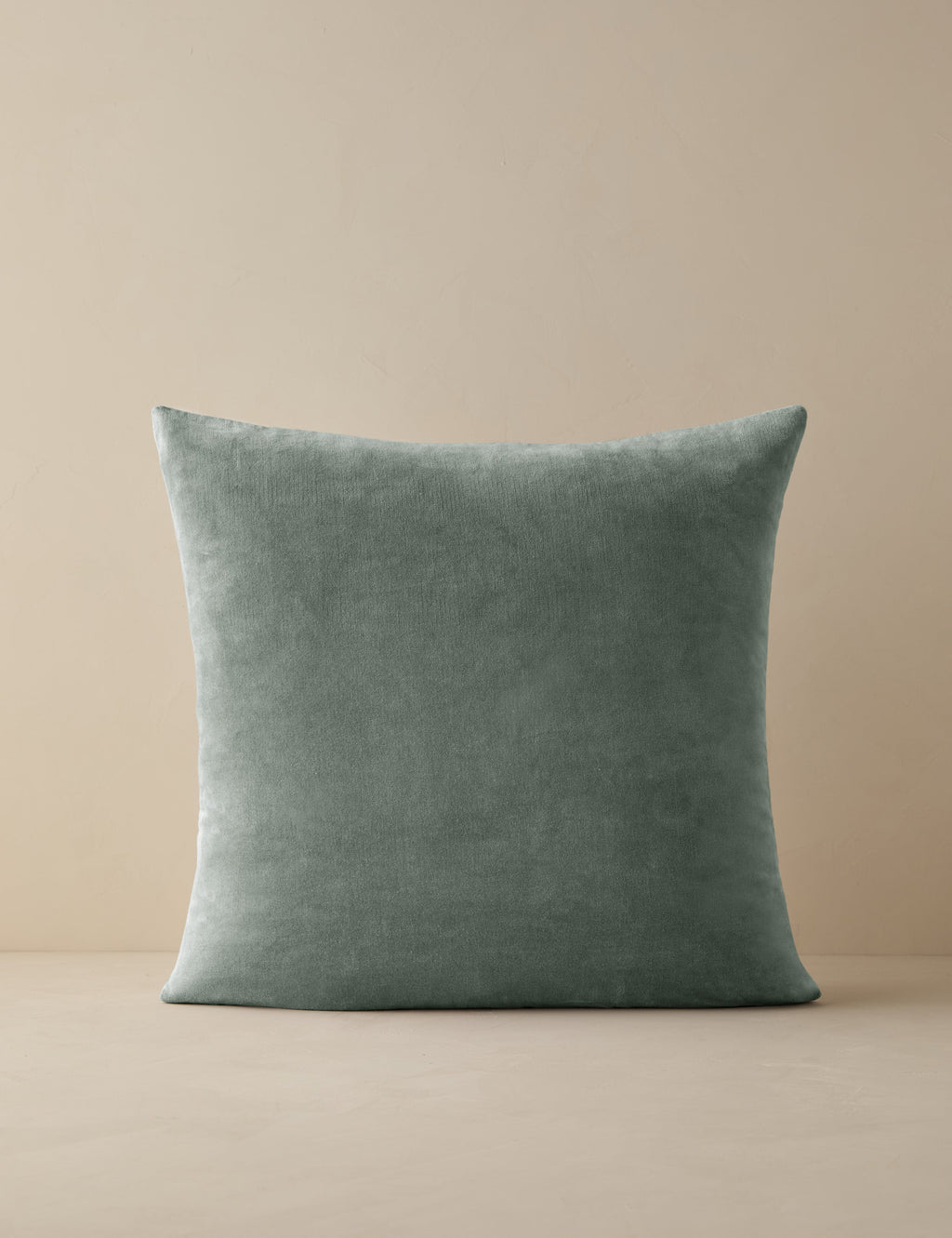 Charlotte Velvet Pillow