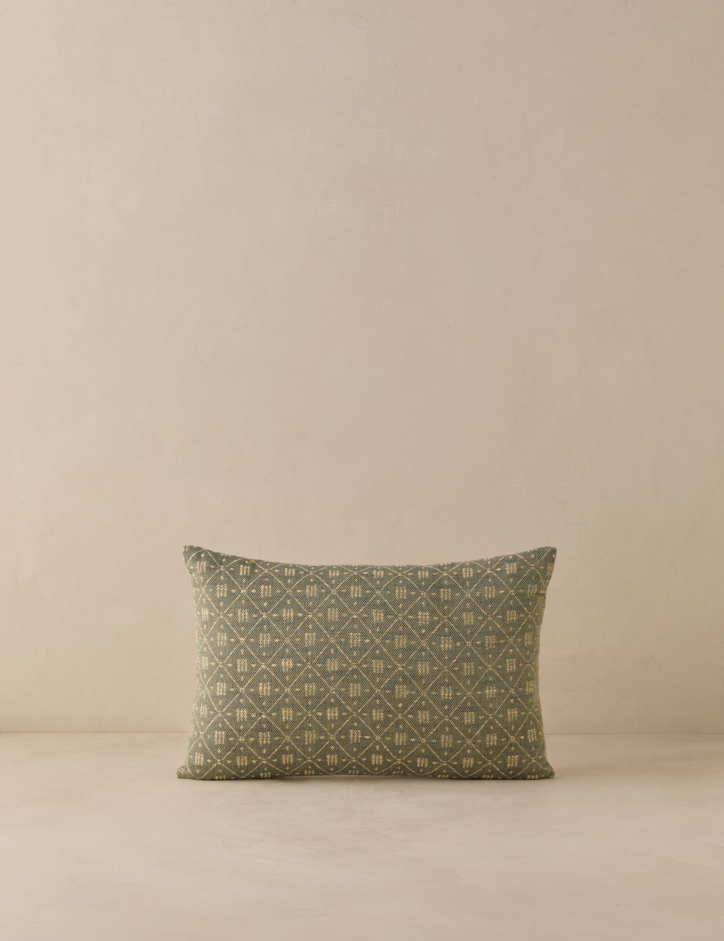 Merola Jacquard Pillow Cover