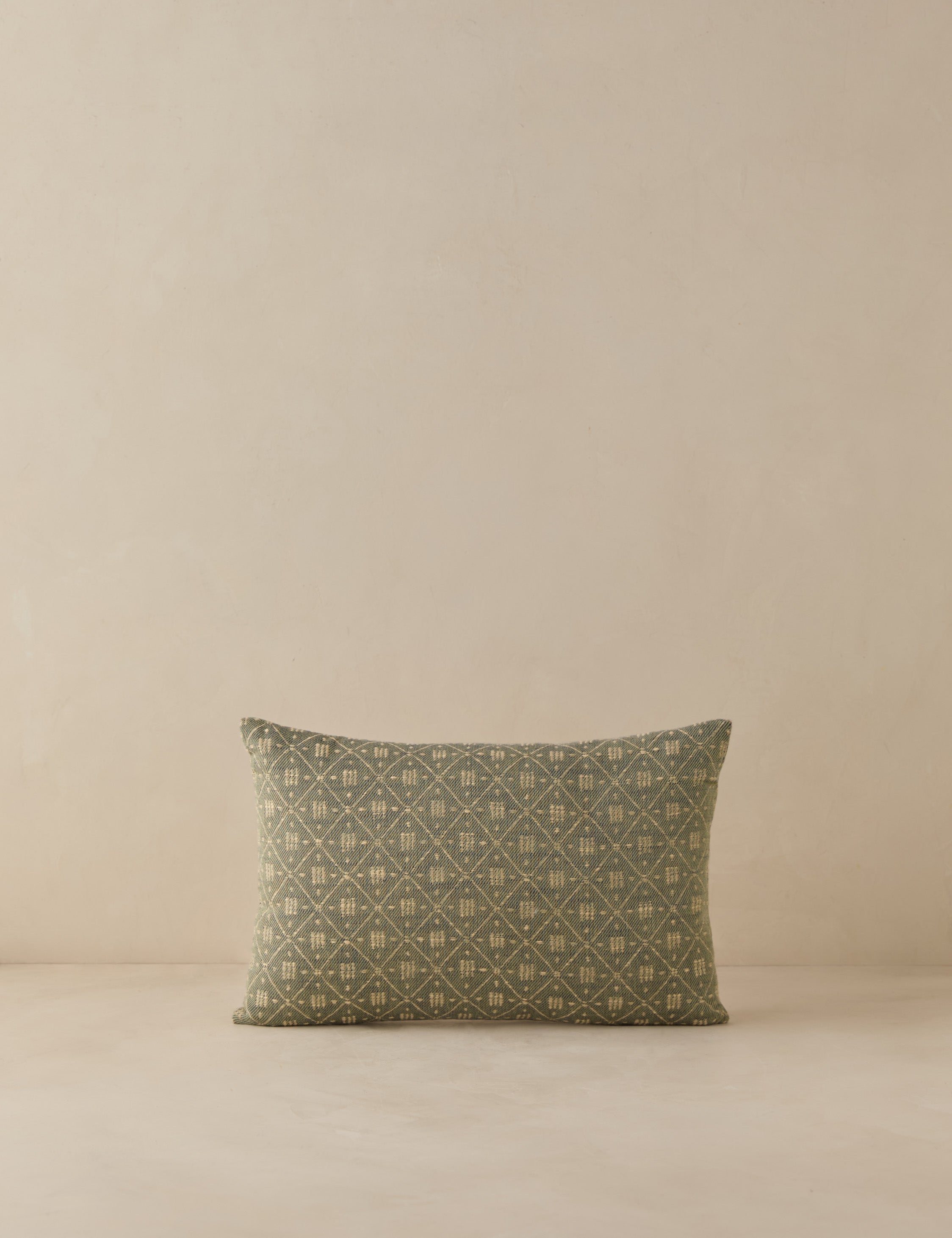 Merola Jacquard Pillow Cover