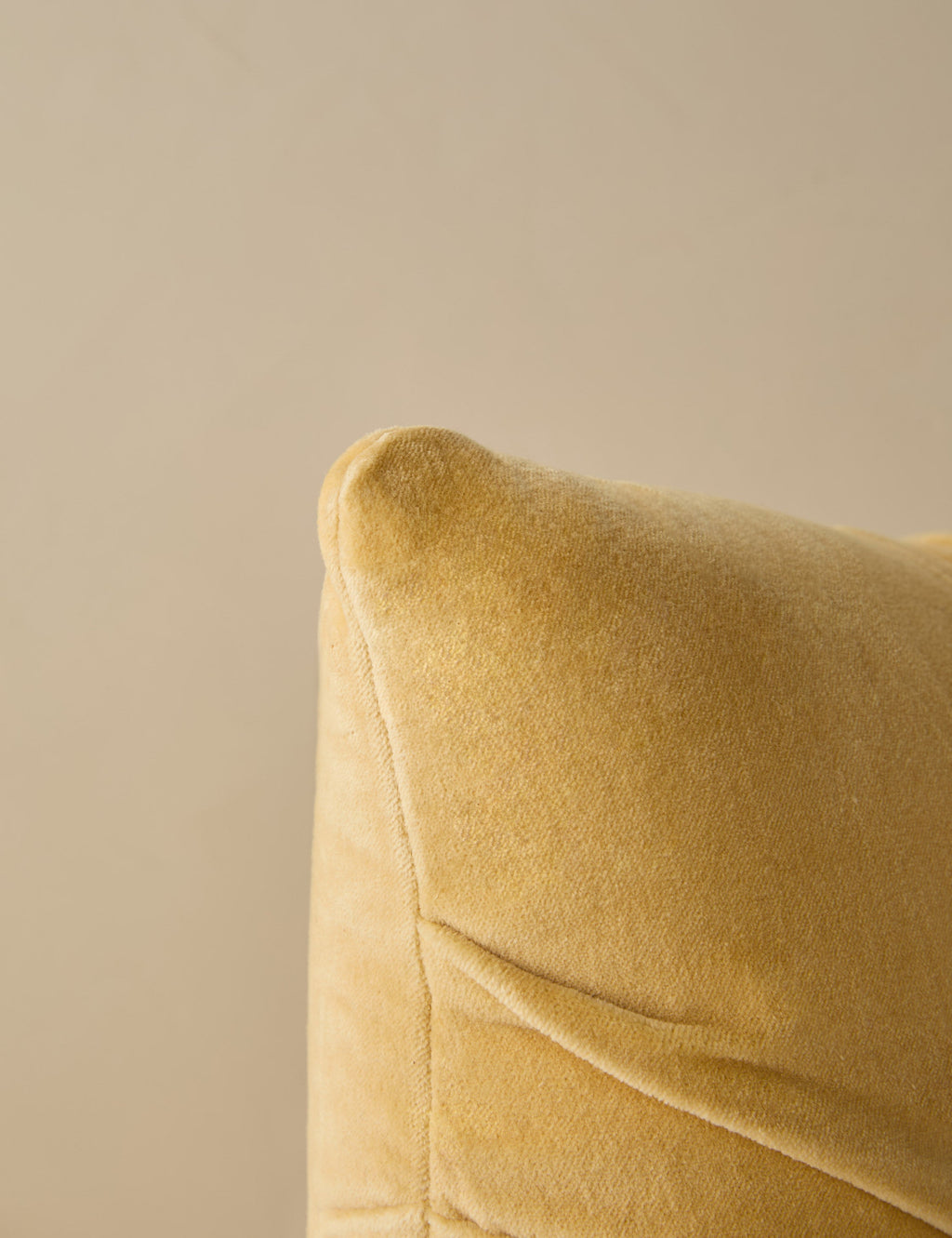 Monroe Velvet Pillow