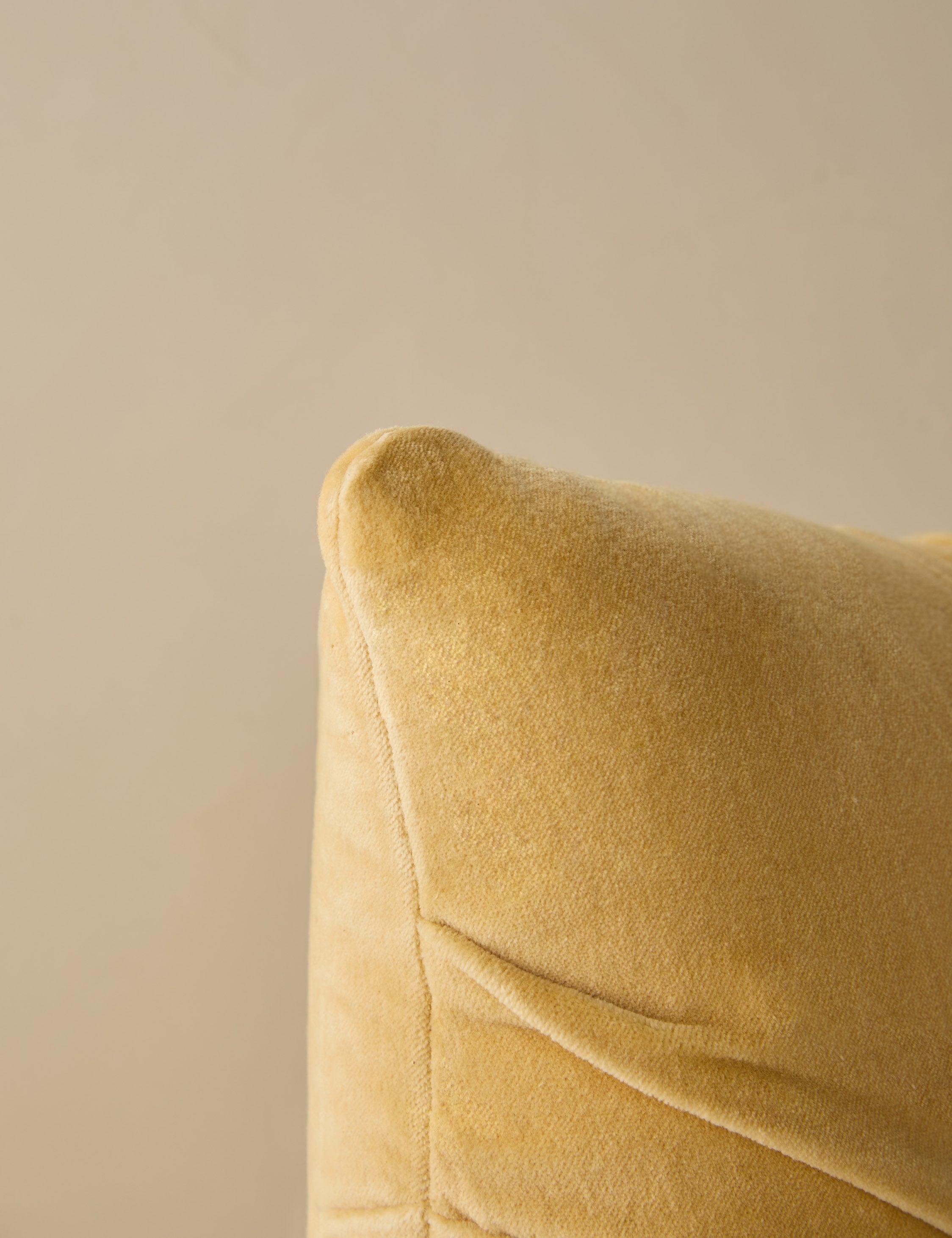 Monroe Velvet Pillow