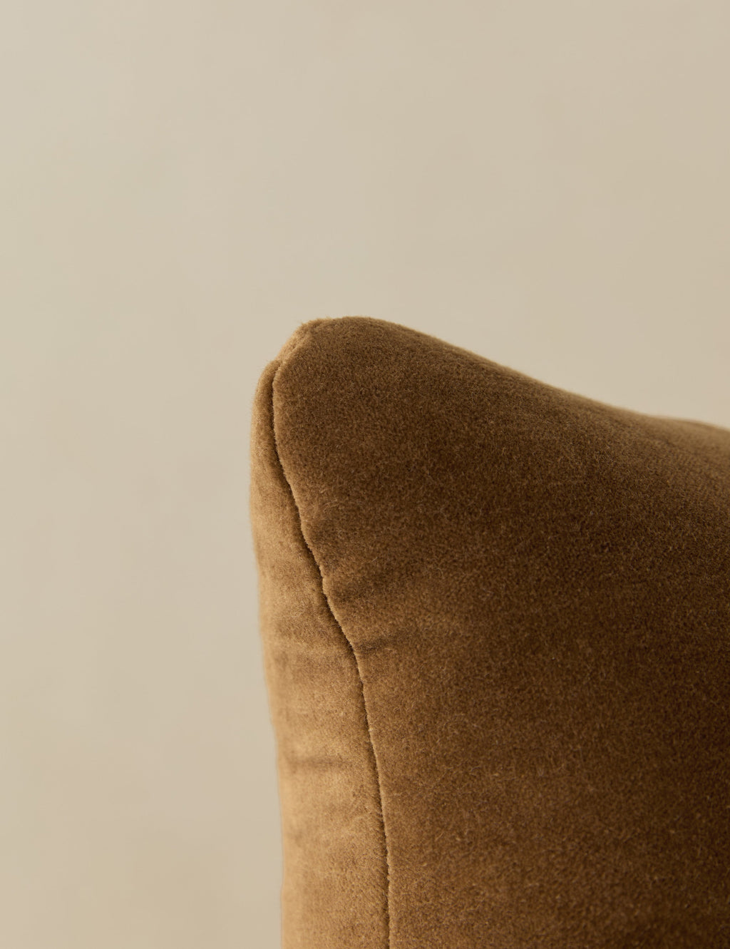 Monroe Velvet Pillow