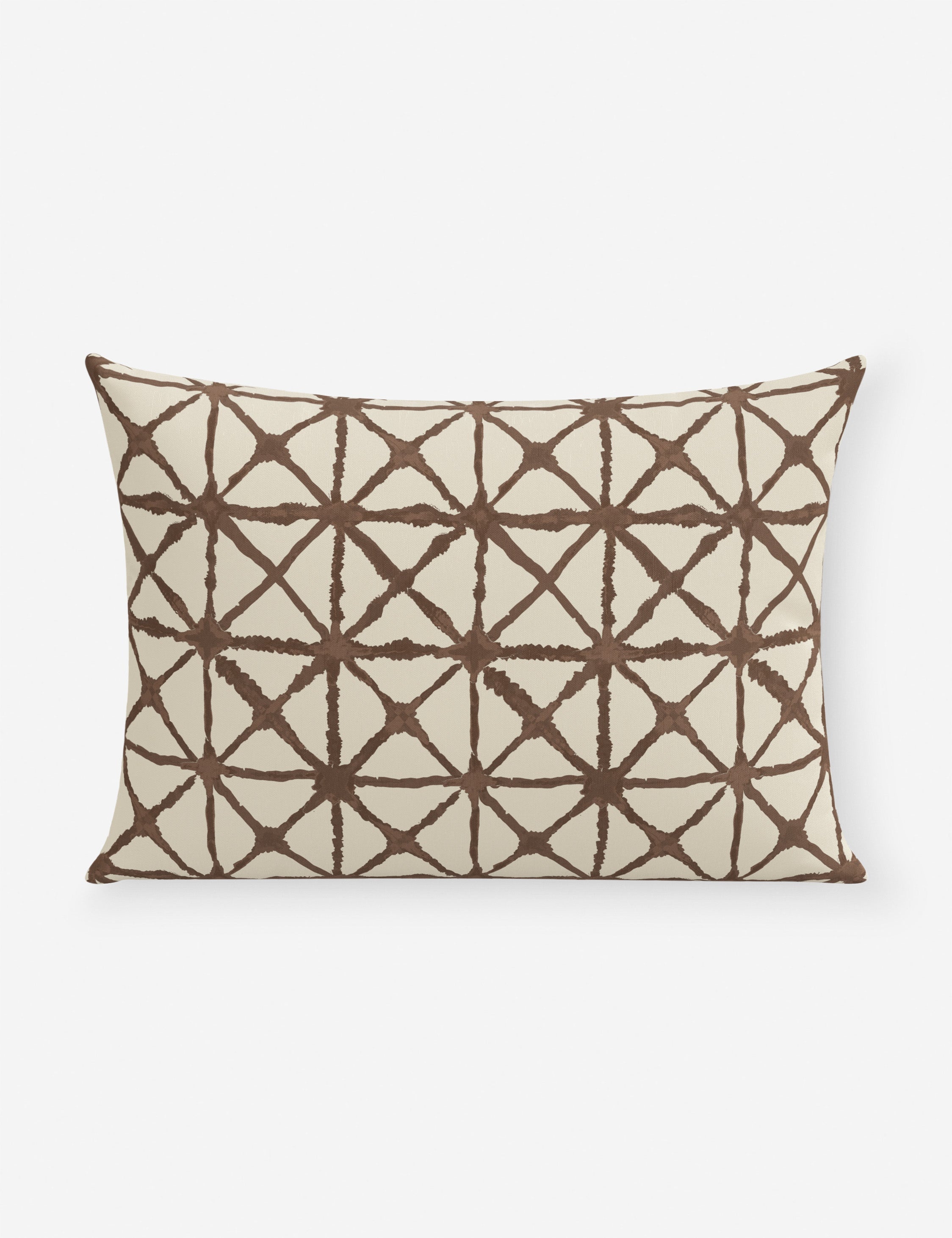 Azara Indoor / Outdoor Pillow