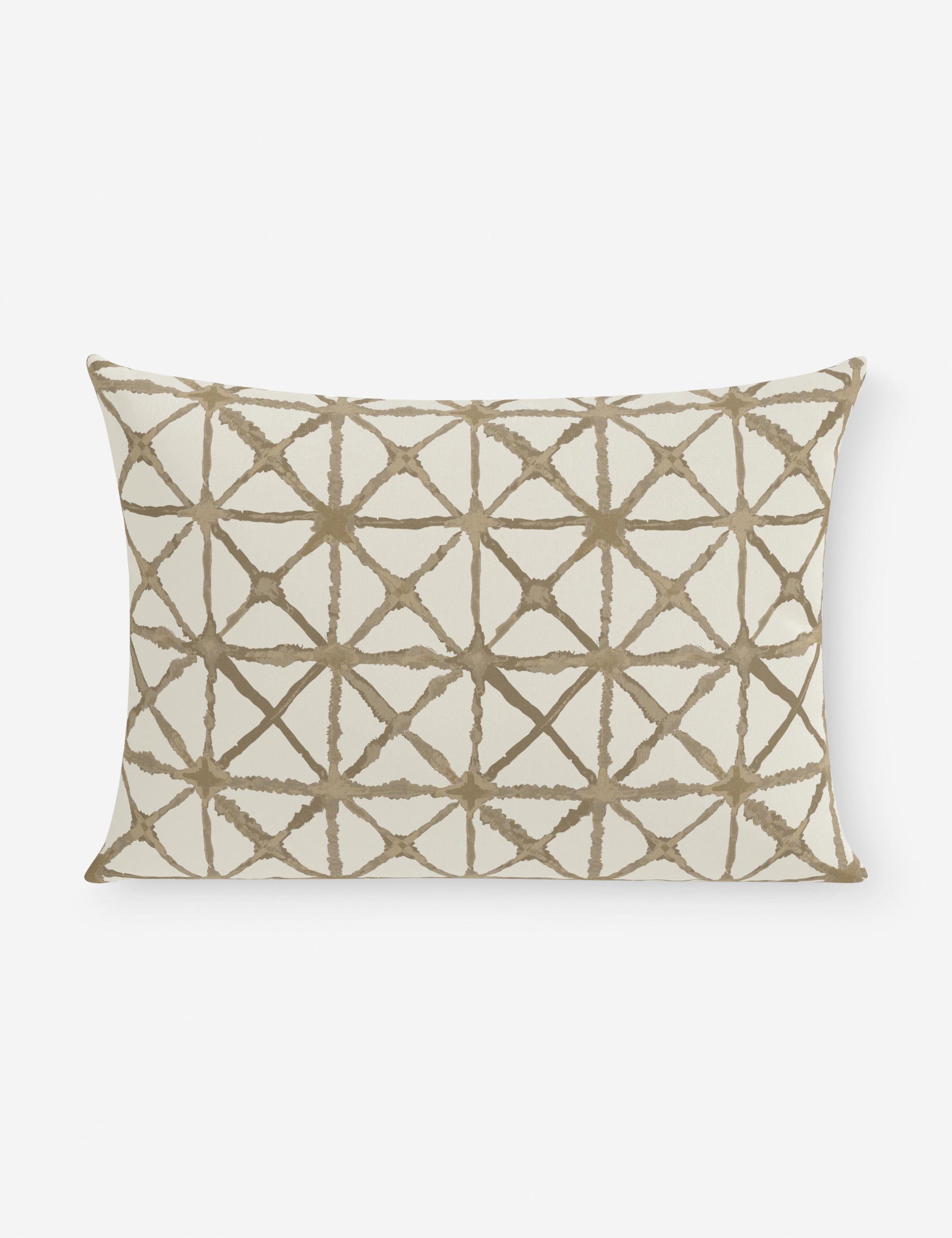 Azara Indoor / Outdoor Pillow