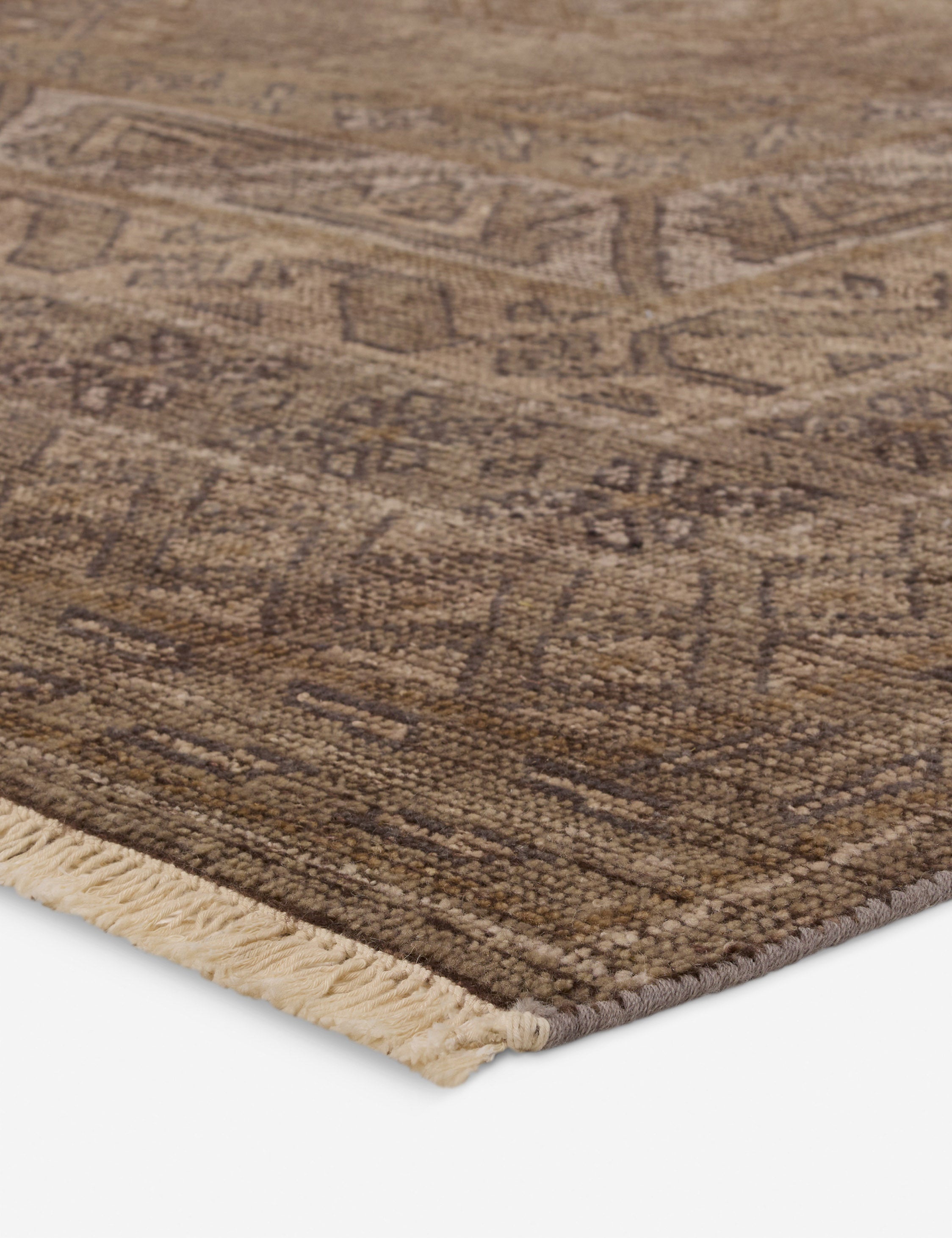 Ramira Hand-Knotted Wool Rug