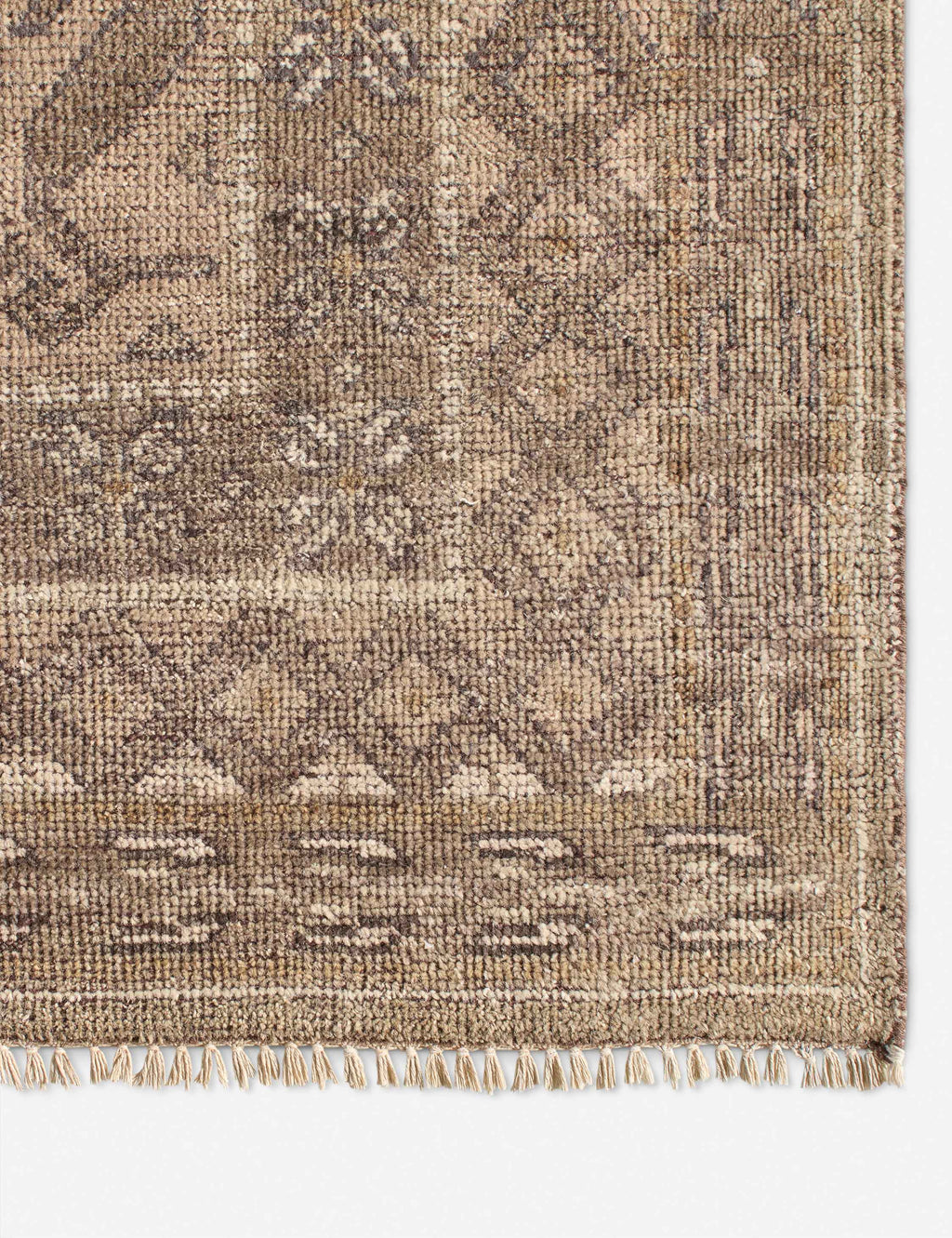 Ramira Hand-Knotted Wool Rug