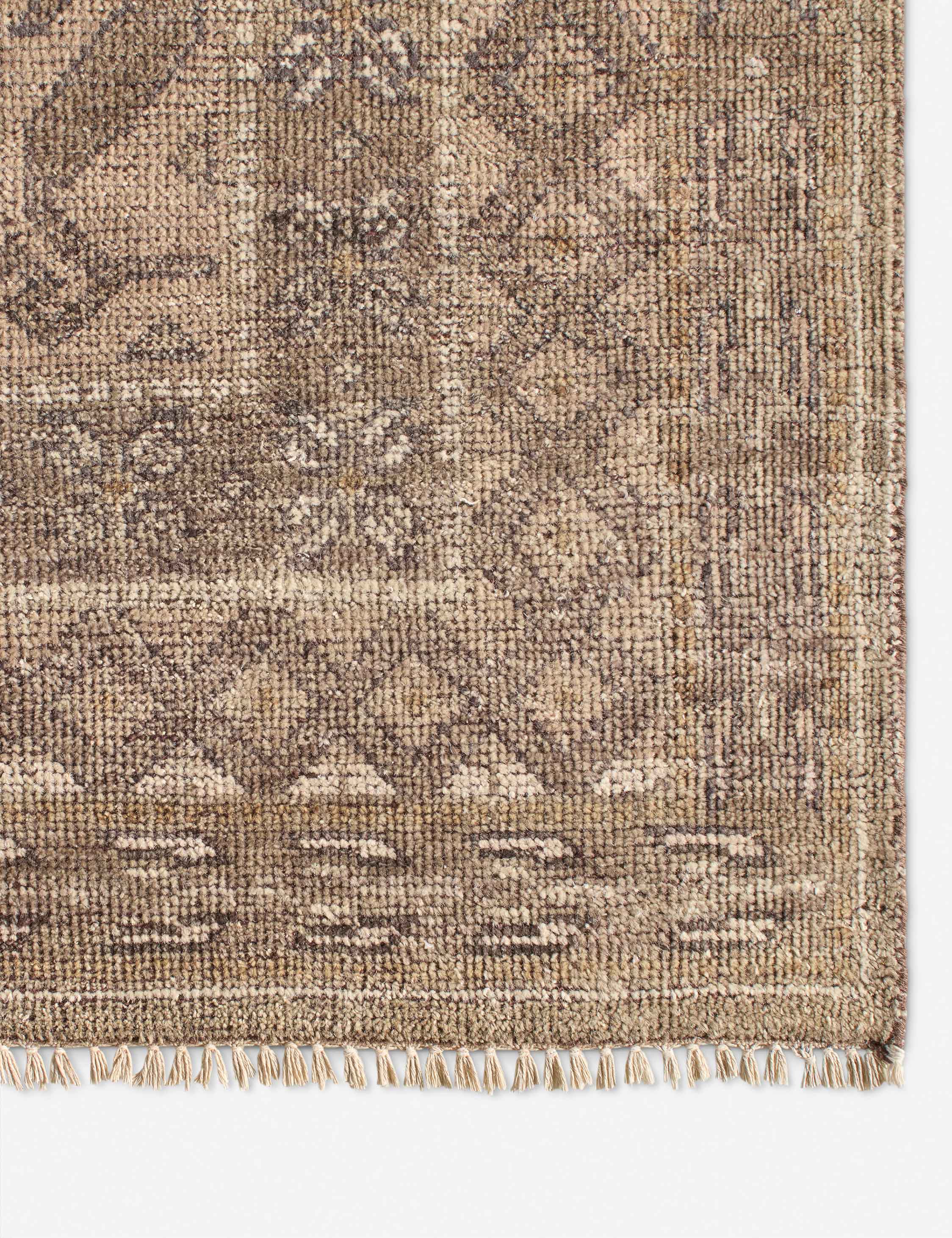 Ramira Hand-Knotted Wool Rug