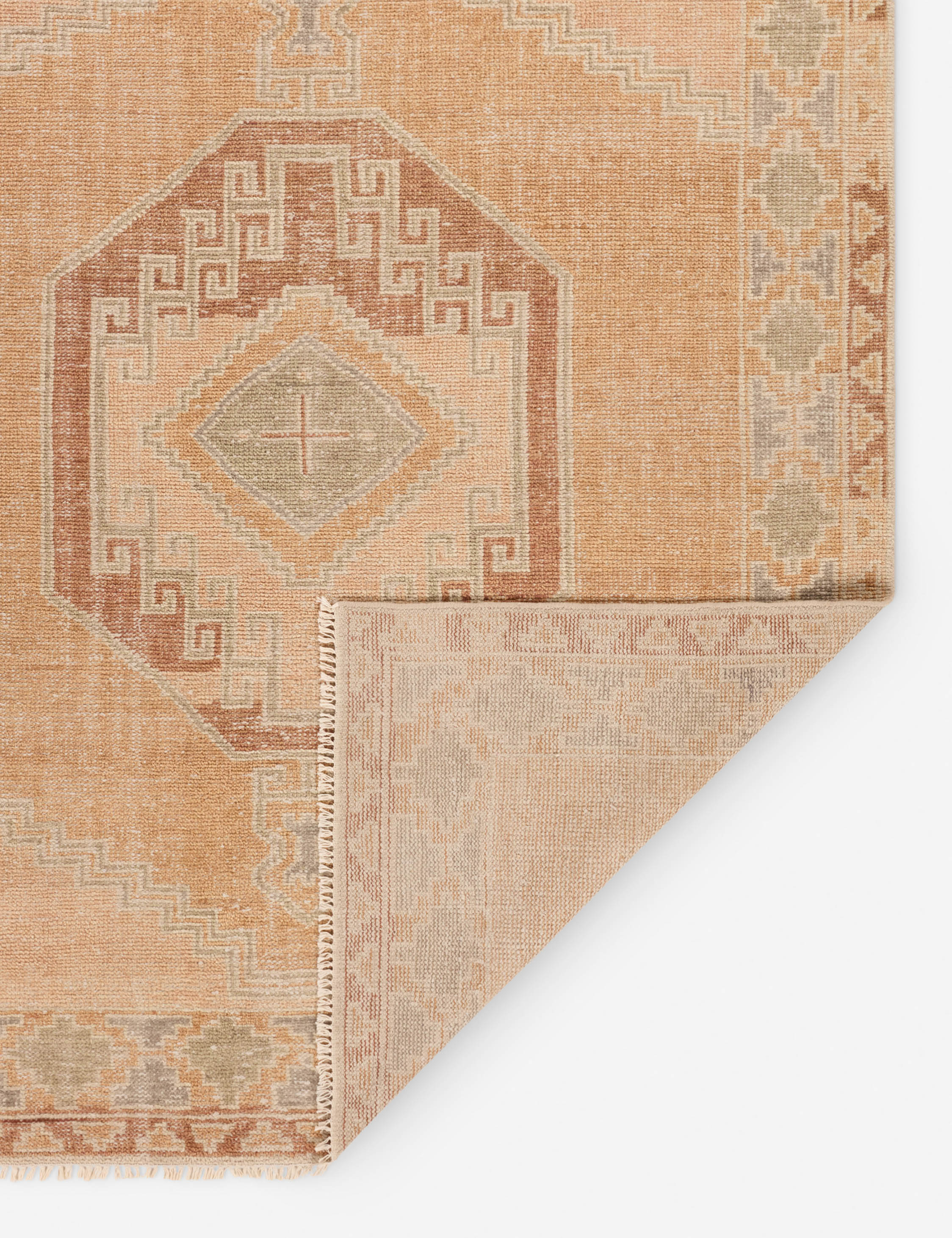Ambretta Hand-Knotted Wool Rug