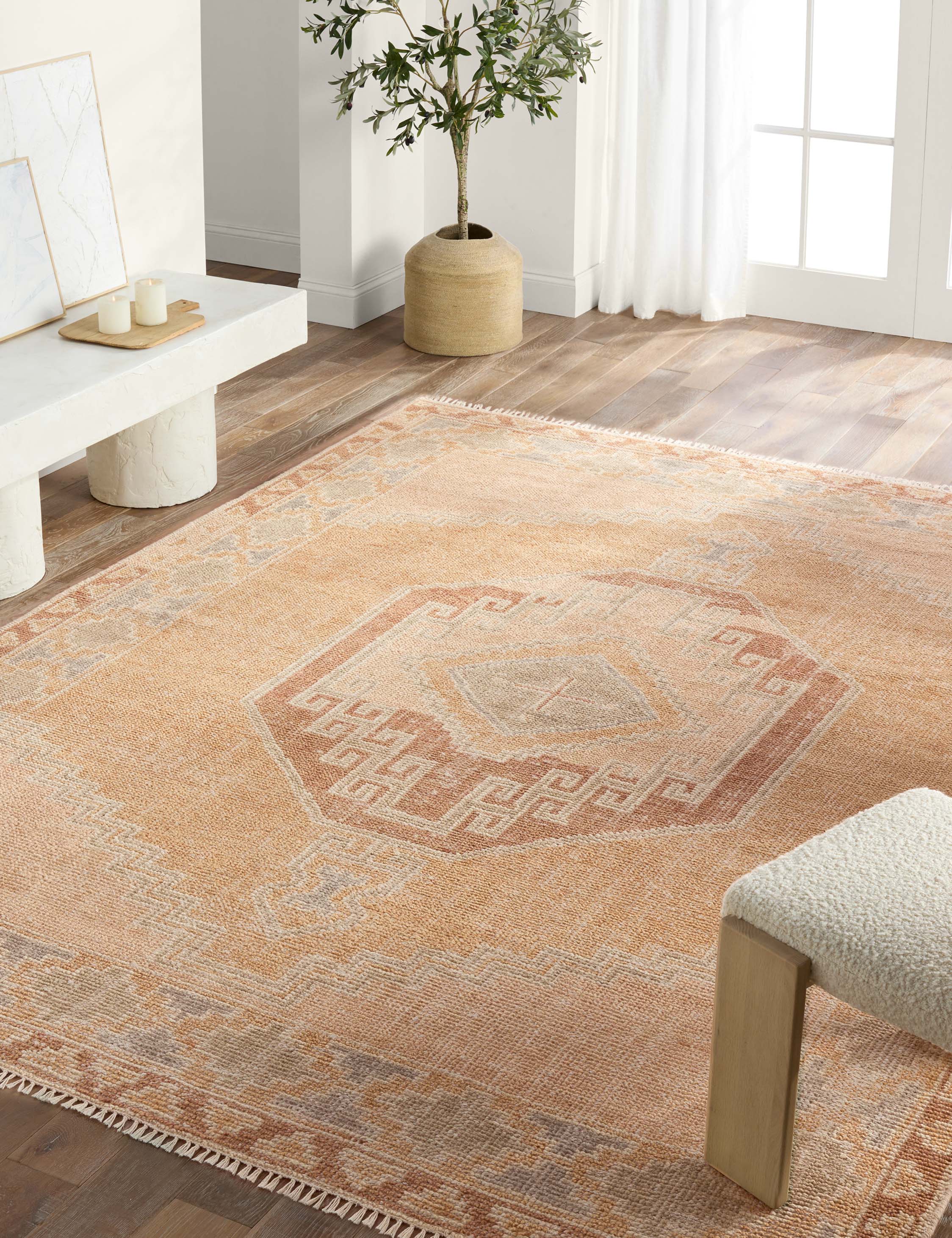 Ambretta Hand-Knotted Wool Rug