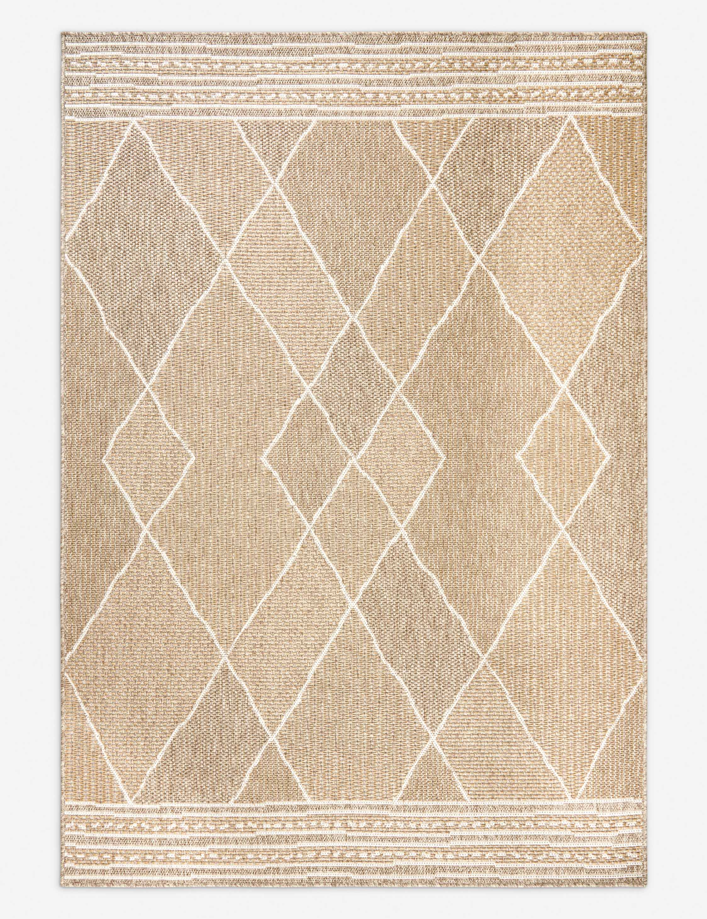 Faiyaz Indoor / Outdoor Rug