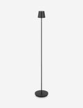 Carla Cordless Floor Lamp