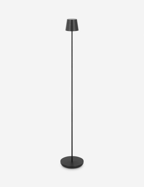 Carla Cordless Floor Lamp