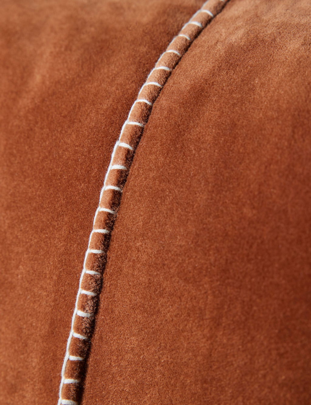 Caddie Velvet Pillow