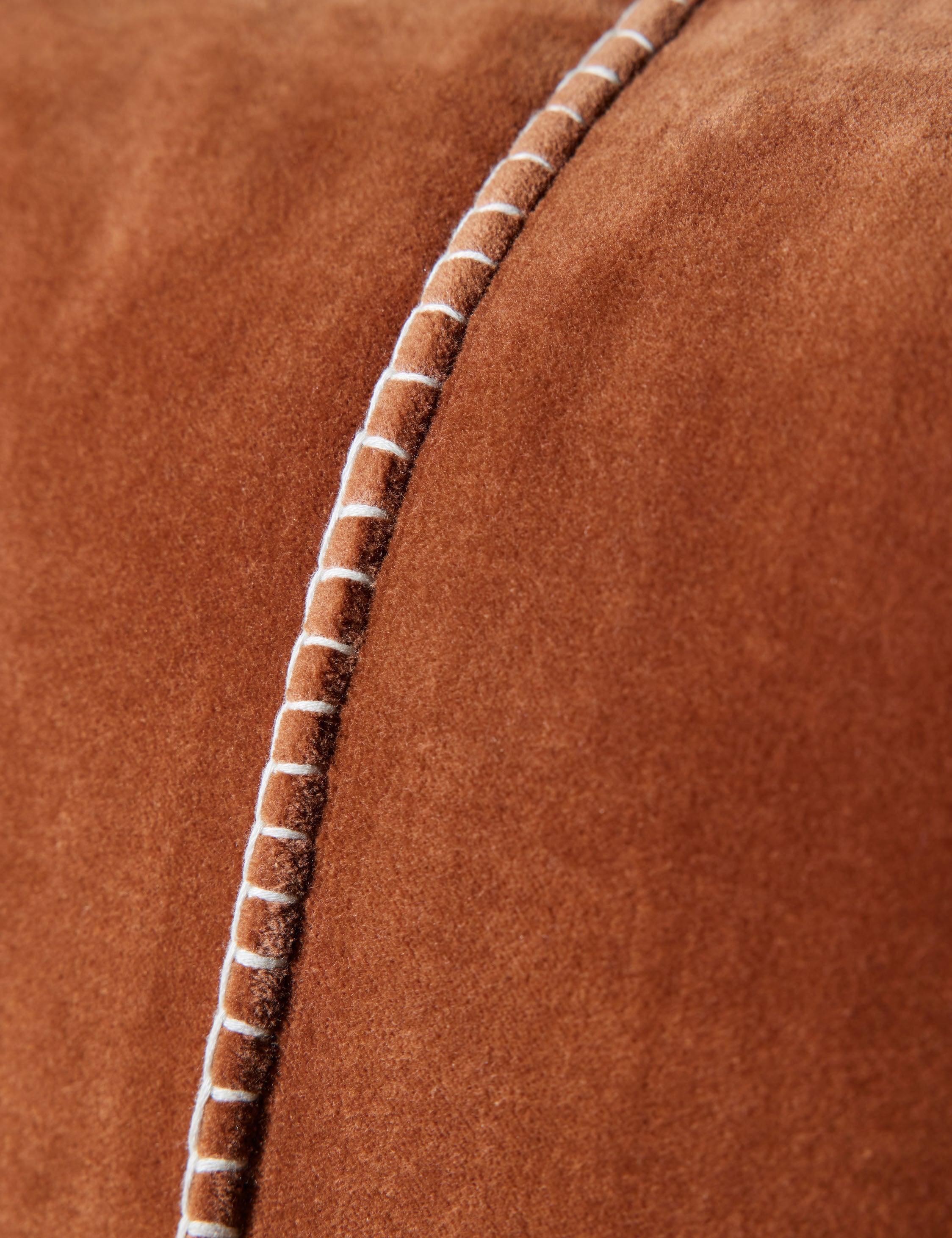 Caddie Velvet Pillow
