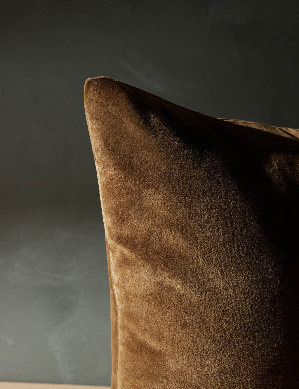 Caddie Velvet Pillow