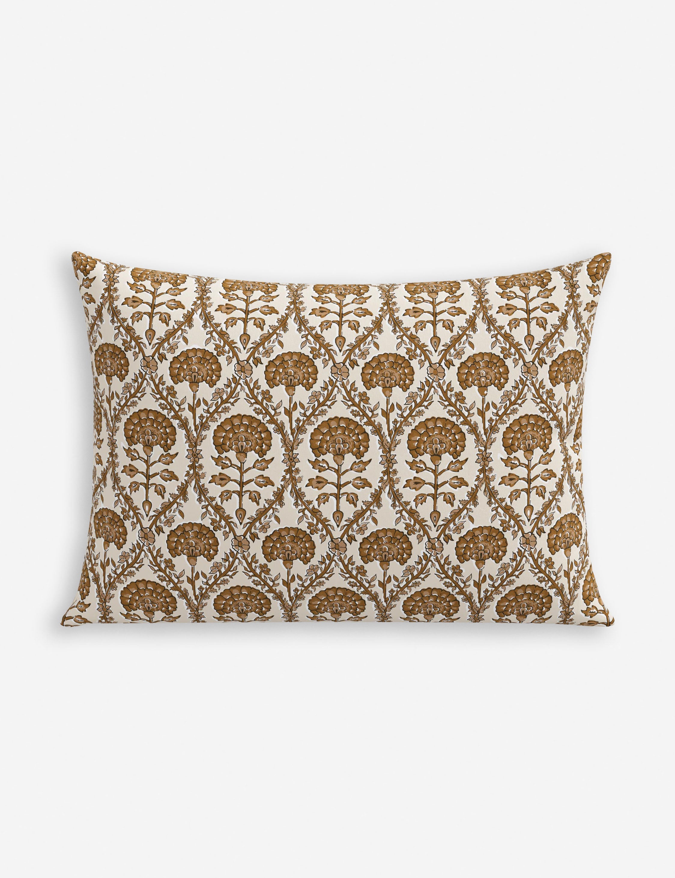 Barrera Indoor / Outdoor Pillow