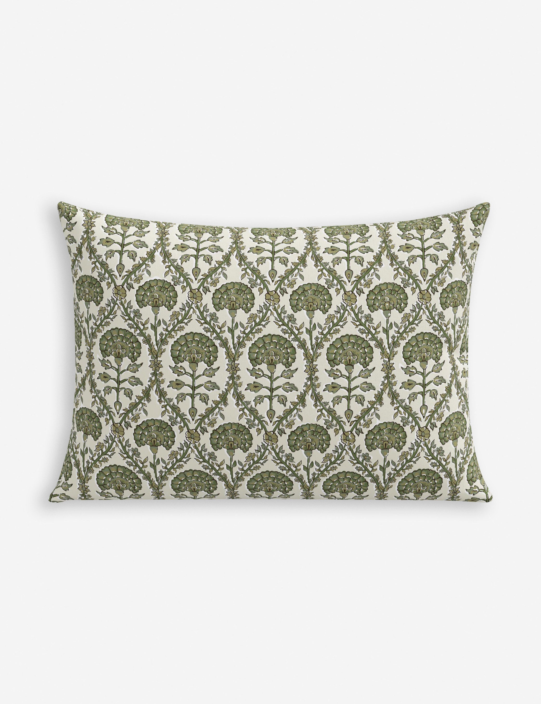 Barrera Indoor / Outdoor Pillow