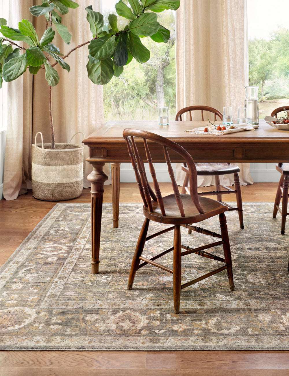 Rosemarie Rug by Chris Loves Julia x Loloi